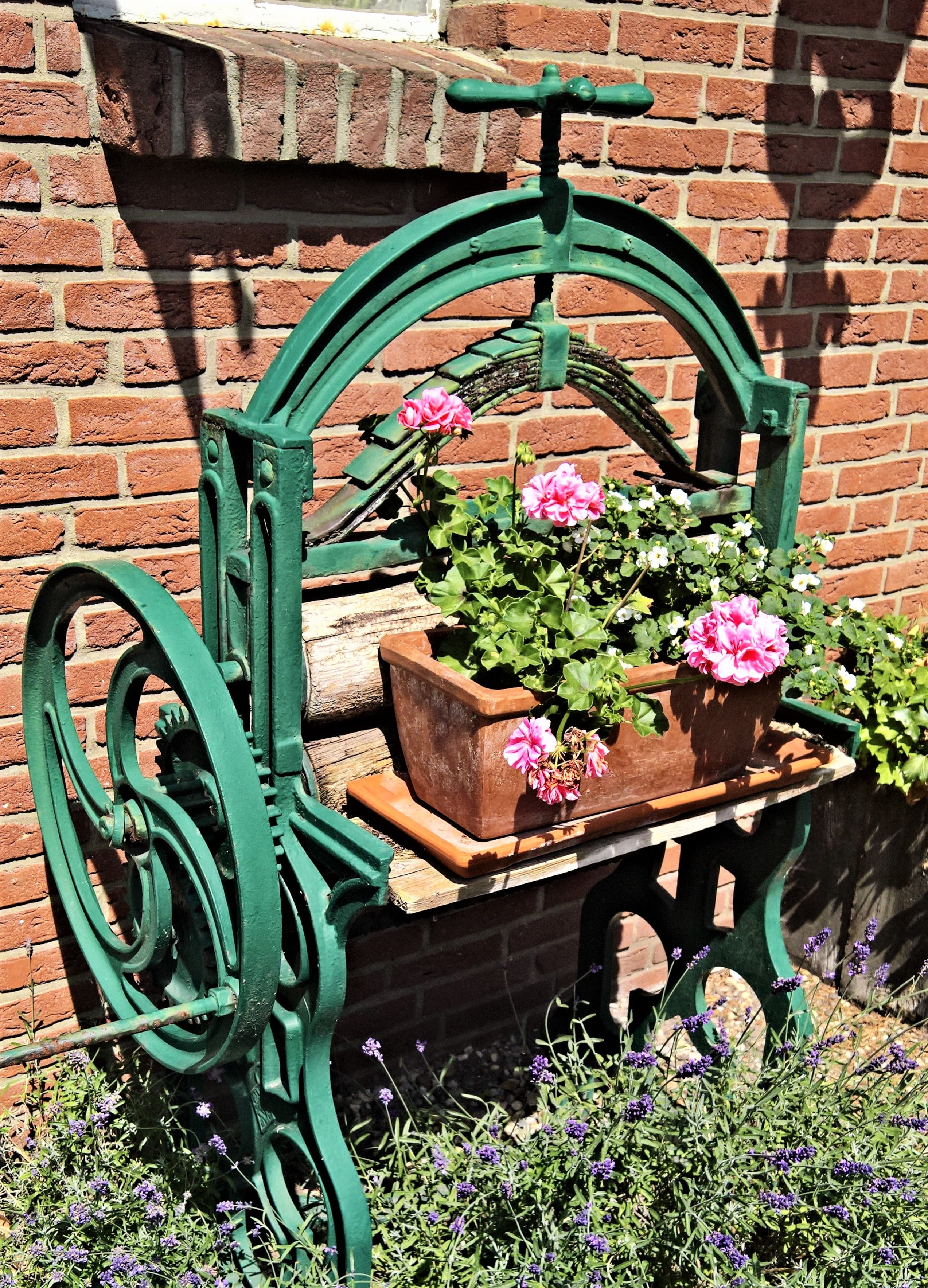 no people, day, built structure, lavender, eye catcher, plant, freshness, brick wall, green color, flower pot, painted green, wheel, flower bank, nostalgic, Phone HD Wallpaper