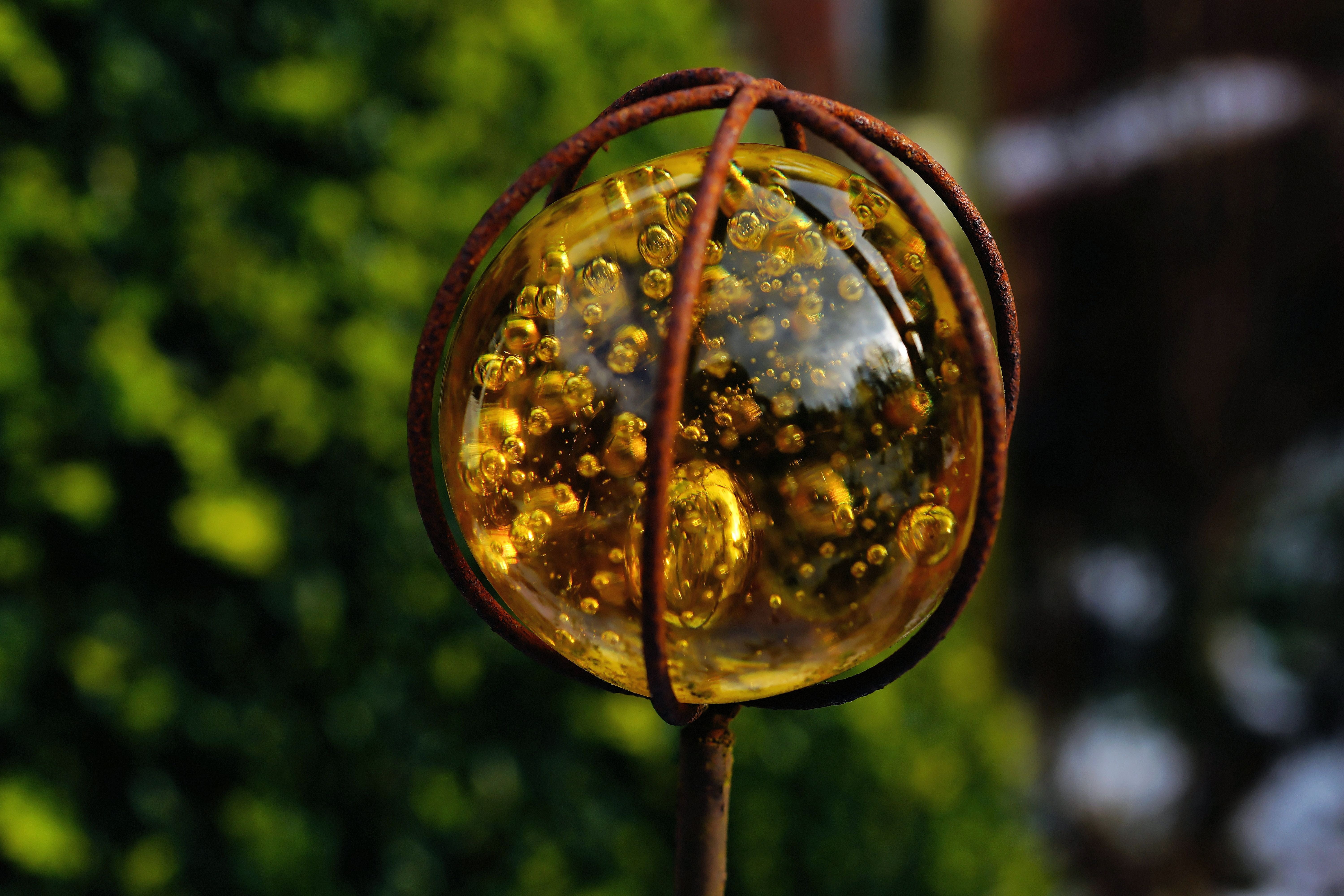color, mirroring, focus on foreground, sphere, background, ornament, outdoors, shape, magnifying glass, glass ball, plant, art, winter, tree, circle, marble, HD Wallpaper