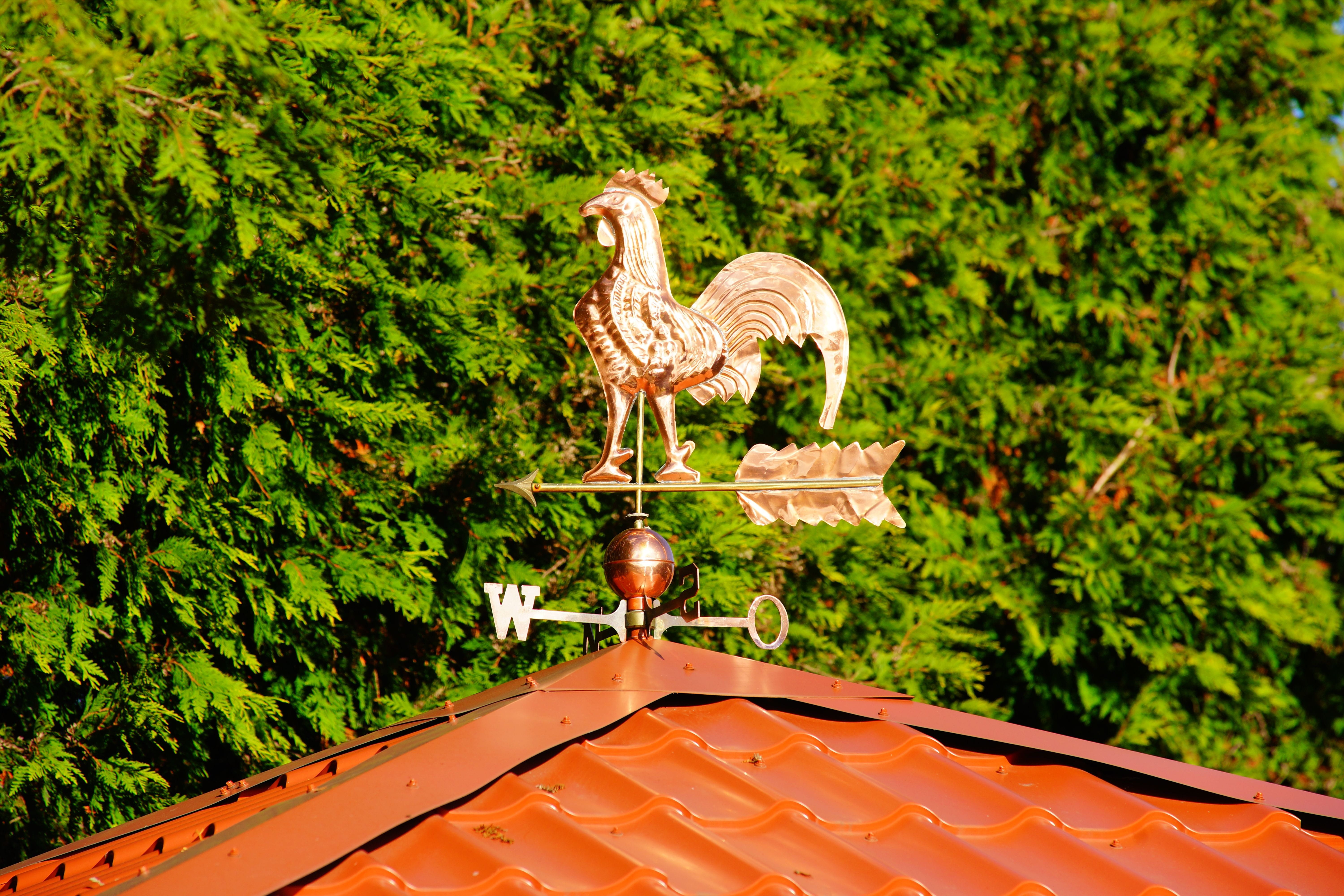 decoration, animal representation, close, beautiful, shiny, nature, roof, art and craft, copper, red, background, structure, ornament, house, plant, animal, HD Wallpaper