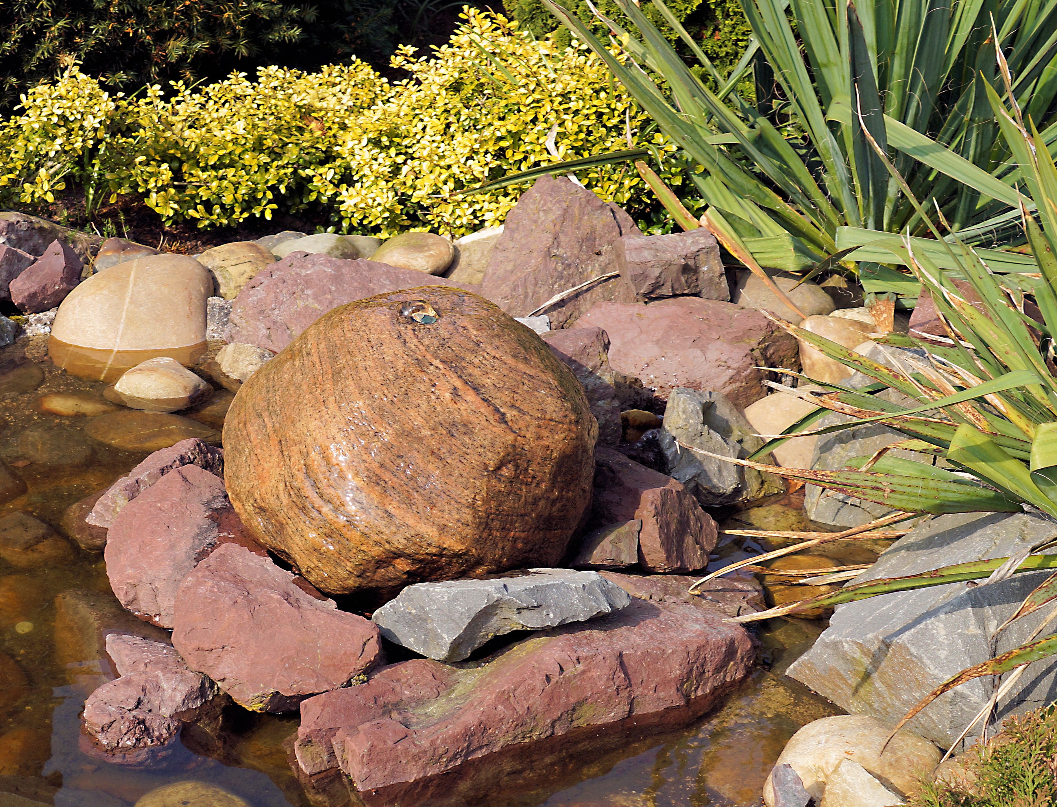 outdoors, stone ball, tree, high angle view, pond, tranquility, land, growth, rock, nature, rock - object, field, food, solid, balance, plant part, leaf, HD Wallpaper