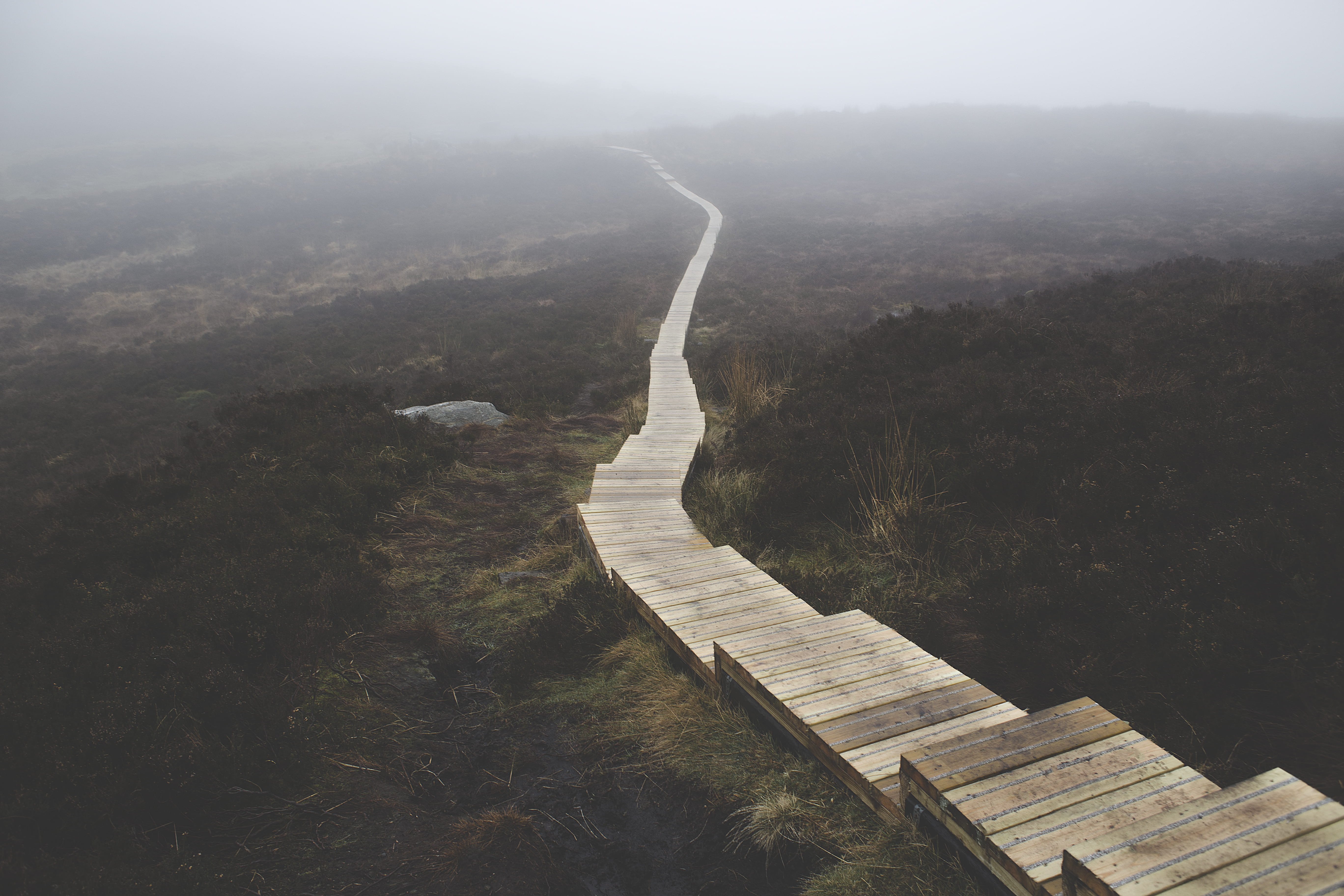 body, fog, travel, bog, scenics - nature, nature, tranquility, trail, foggy, daylight, outdoors, 5K, landscape, architecture, wooden, road, long, environment, HD Wallpaper