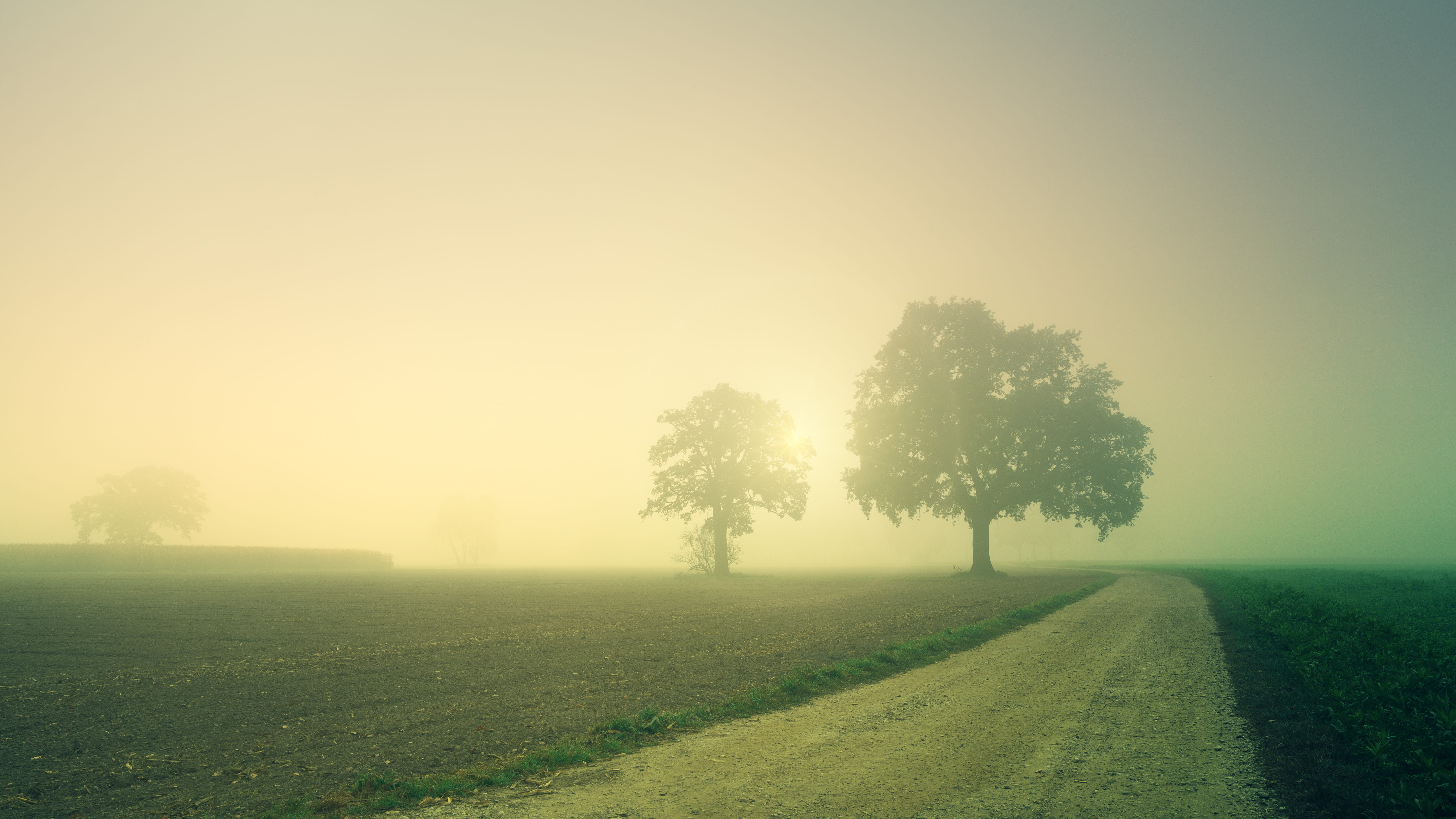 tranquil scene, mist, nature, sky, environment, fog, landscape, 5K, trees, growth, grass, green, no people, autumn, fall, sunrise, weather, outdoors, foggy, HD Wallpaper