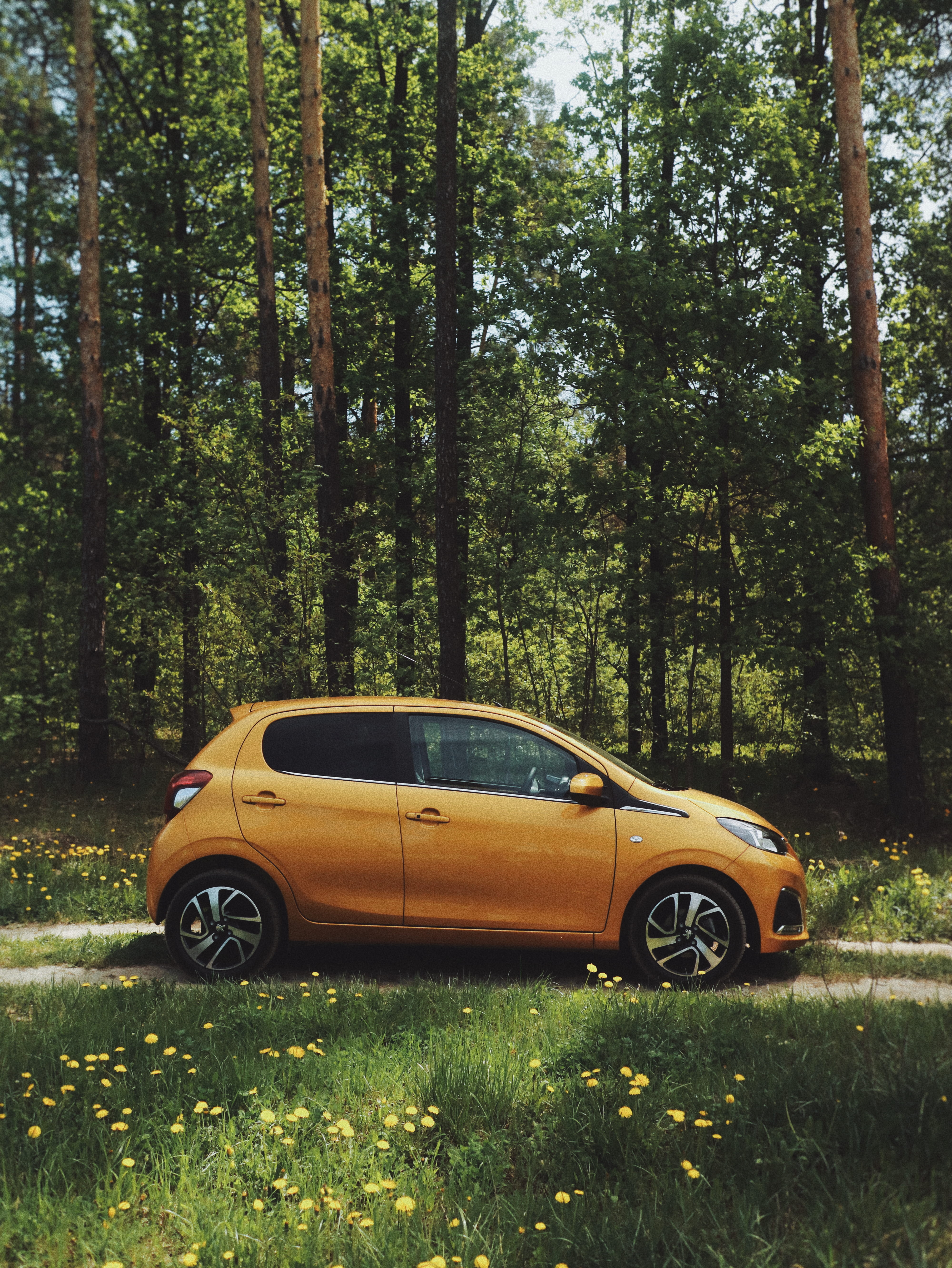 travel, peugeot108, sunlight, scenics, non-Urban Scene, nature, day, outdoors, woodland, landscape, path, 5K, road trip, road, door, yellow, green Color, Phone HD Wallpaper