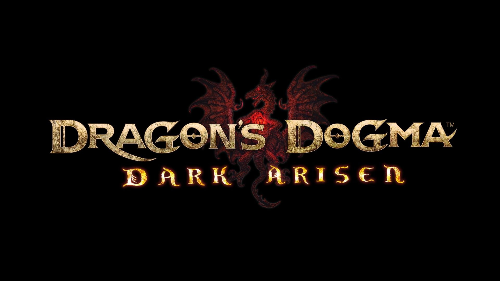 action, rpg, online, videogame, fantasy, video, game, strategy, fighting, dragons, dogma, 1080P, HD Wallpaper