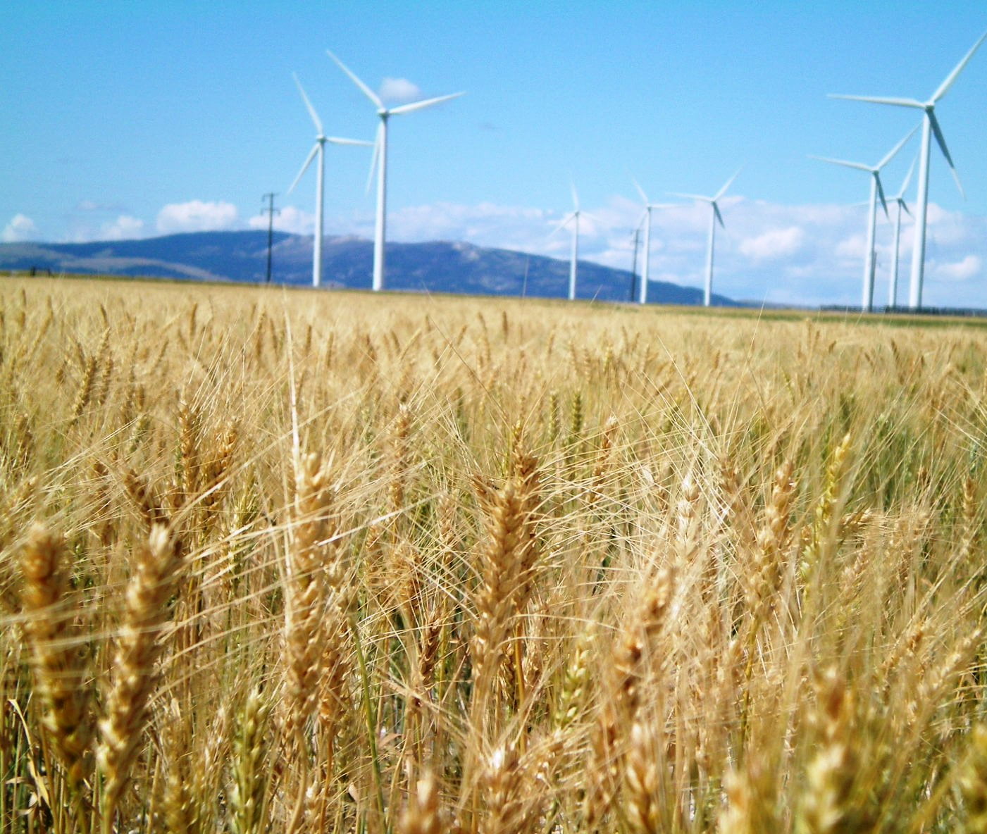 windmill, wind, Program, alternative Energy, farm, grasses, Idaho National Laboratory, microgrid, generator, turning, electricity, landscape, field, turbine, HD Wallpaper