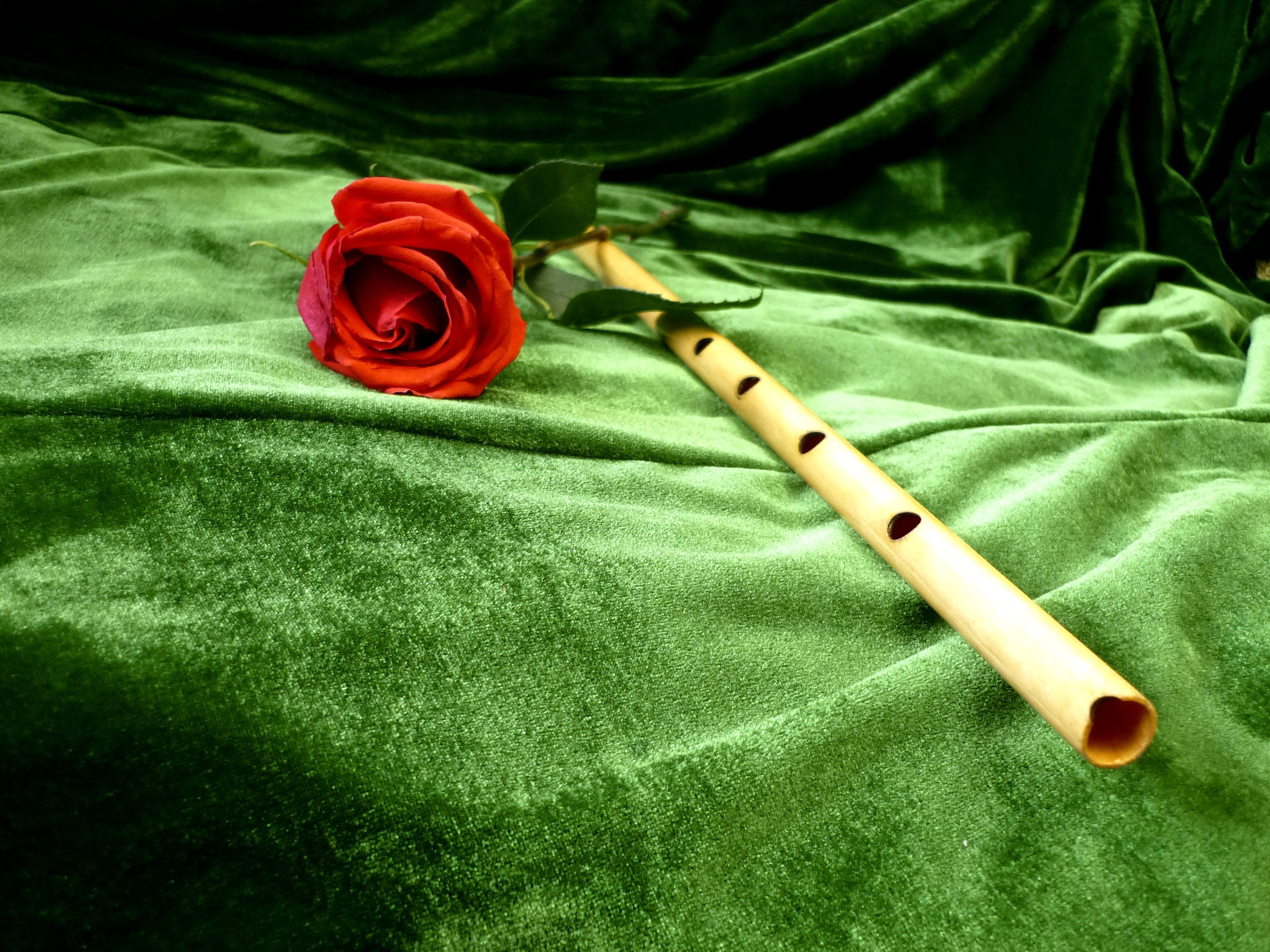 design, traditional, creativity, red, no People, beauty in nature, vulnerability, Study, flower, plant, textile, Music, kuray, nature, table, Bashkortostan, HD Wallpaper