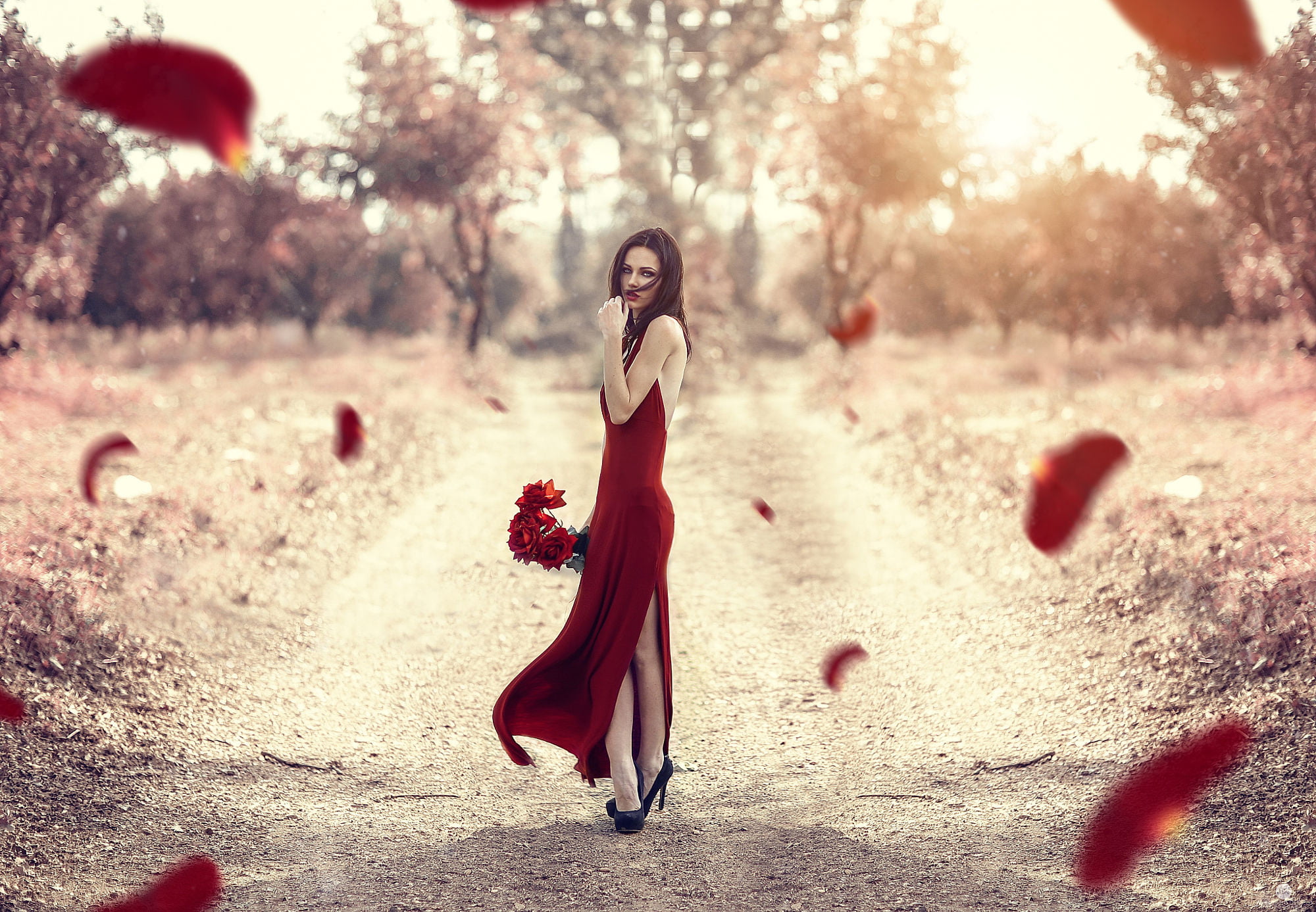 red petals, wind, Alessandro Di Cicco, rose, dress, women, roses, high heels, summer, red clothing, 1080P, flowers, petals, field, dark hair, long hair, HD Wallpaper