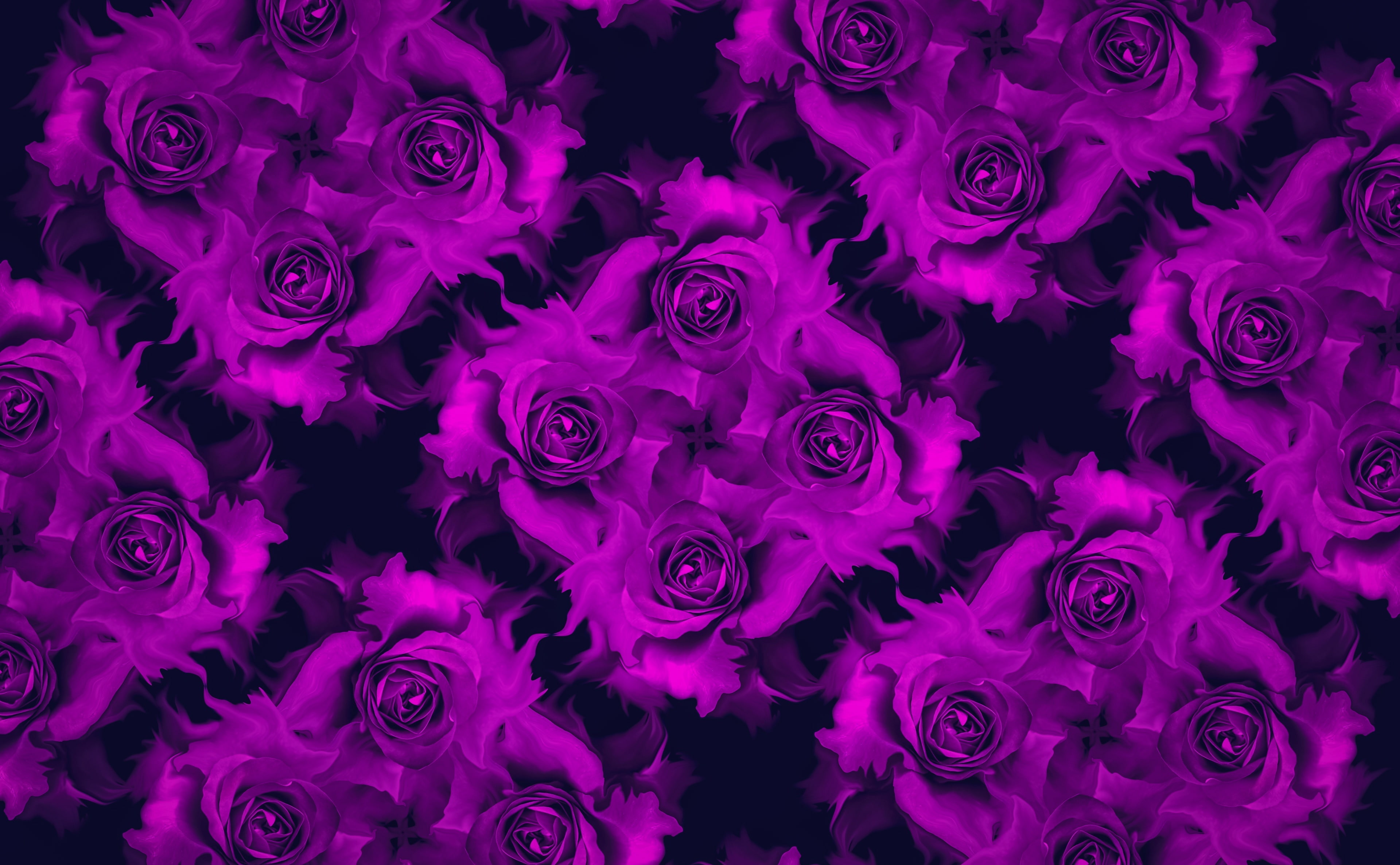 freshness, rose, beauty in nature, Patterns, bouquet, backgrounds, 4K, petal, flower arrangement, fragility, plant, vulnerability, mixing, flower head, HD Wallpaper