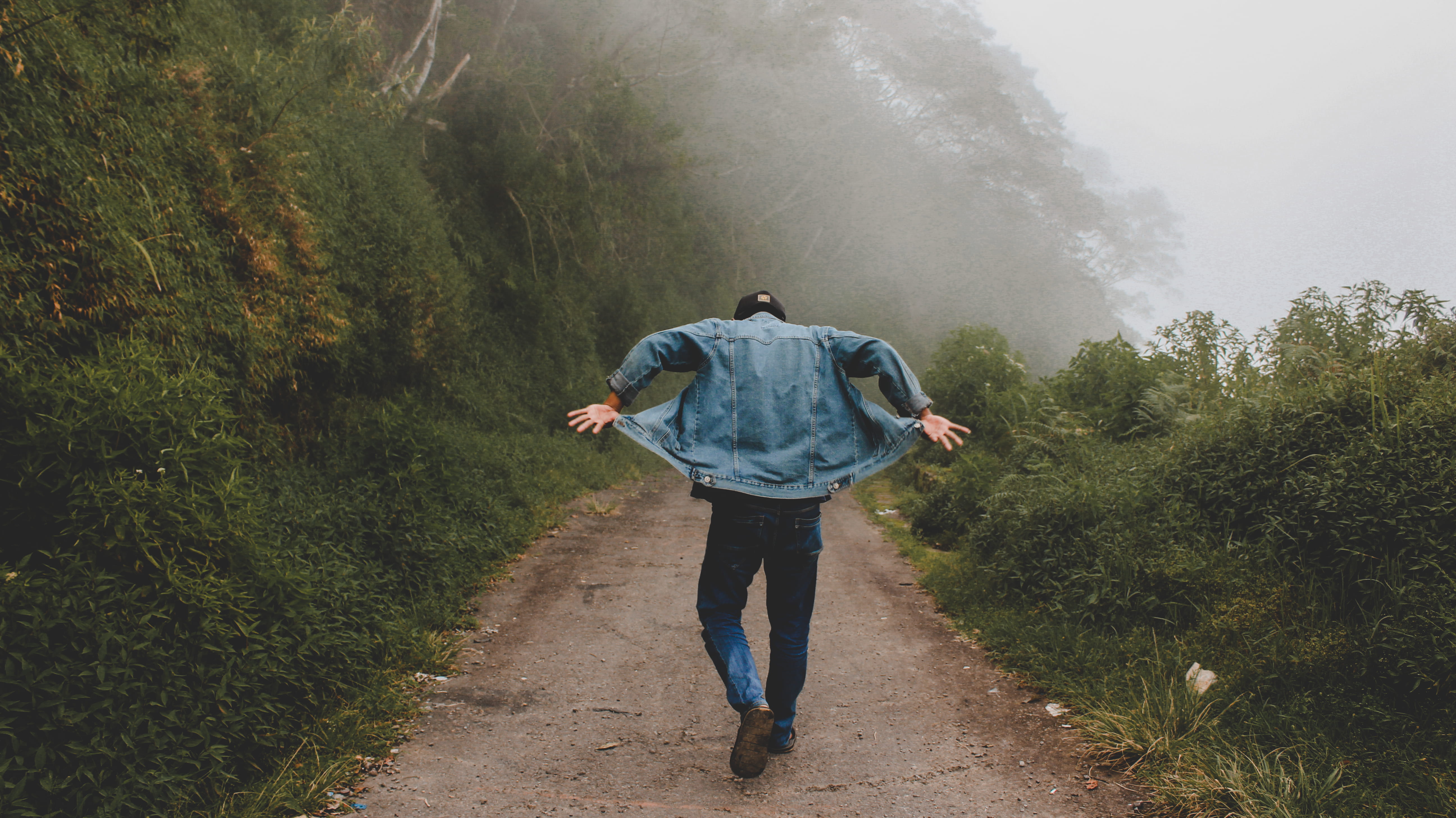 wear, footpath, man, scenic, exploration, fog, adult, leisure activity, blue, denim, 5K, rear view, tree, hike, nature, trail, walking, landscape, jacket, HD Wallpaper