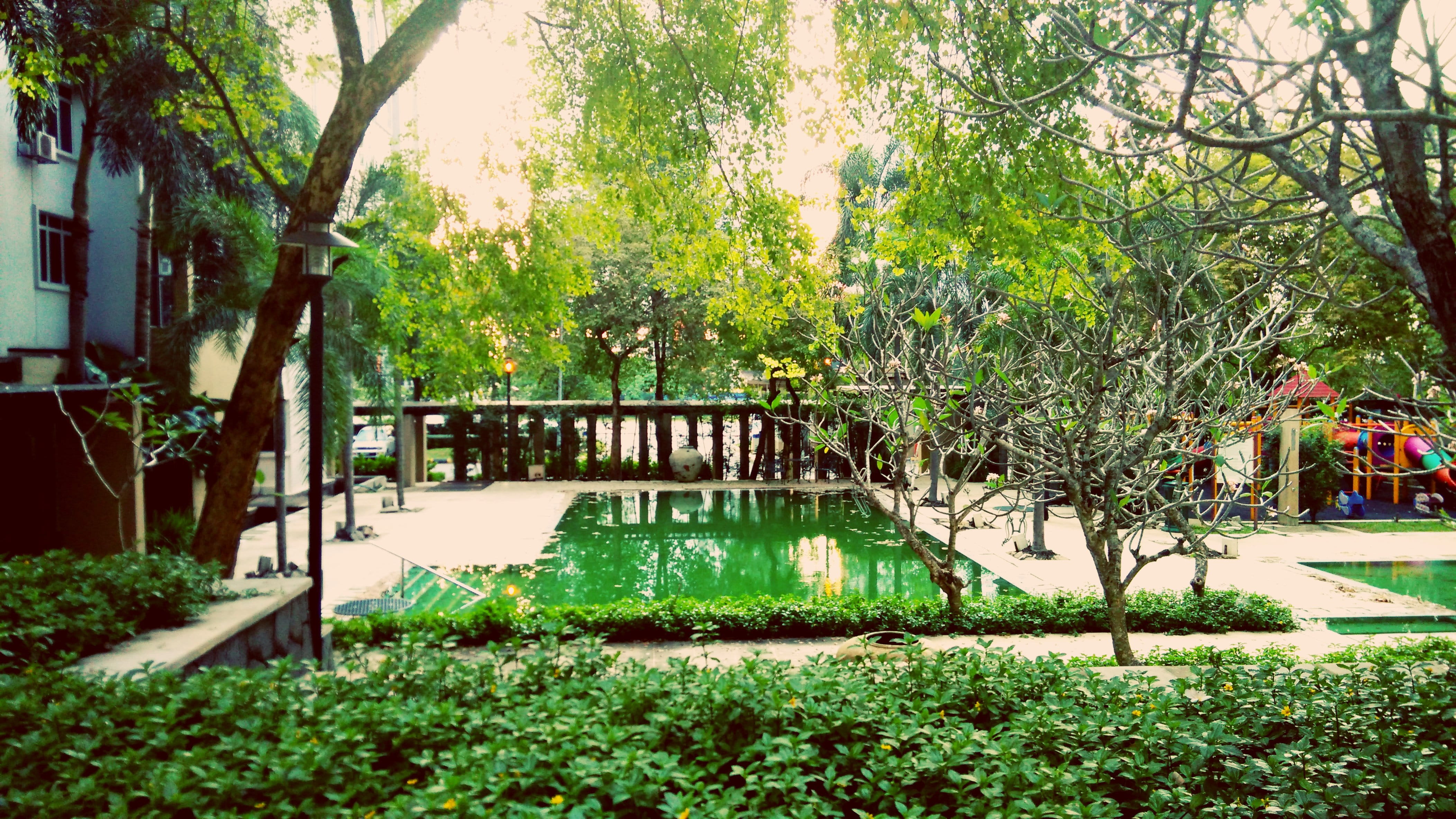 green color, building exterior, tree, park, tranquility, plant, malaysia, 4K, cyberjaya, jalan cyberia 1, outdoors, connection, architecture, bridge - man made structure, HD Wallpaper