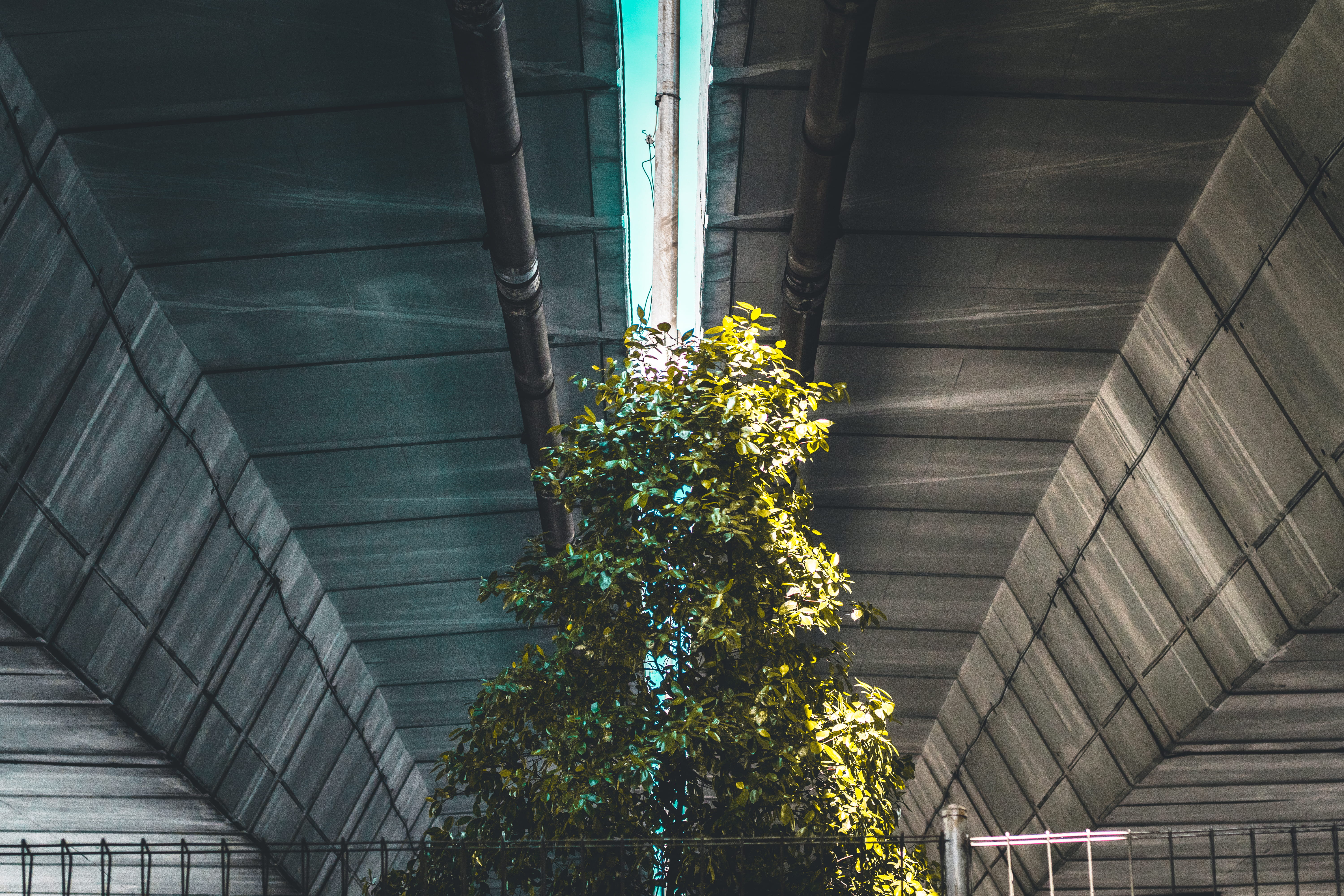trees, landscape, jalan benyamin sueb, growth, illuminated, indonesia, wall - building feature, connection, railing, the bridge, staircase, no people, green color, HD Wallpaper