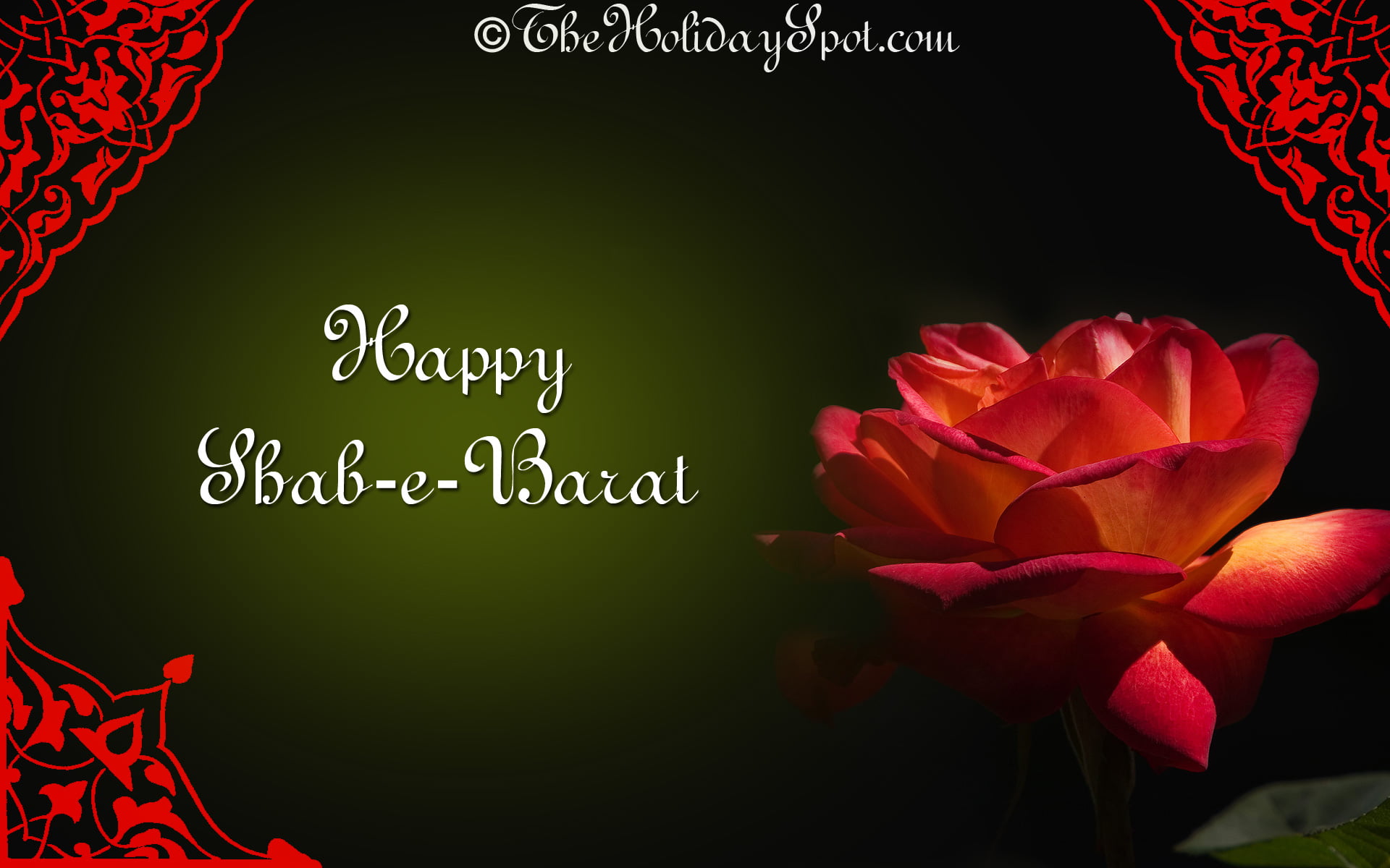 text, board, flower head, black background, happy, Festivals / Holidays, red, overlay, inflorescence, close-up, blackboard, celebration, beauty in nature, HD Wallpaper