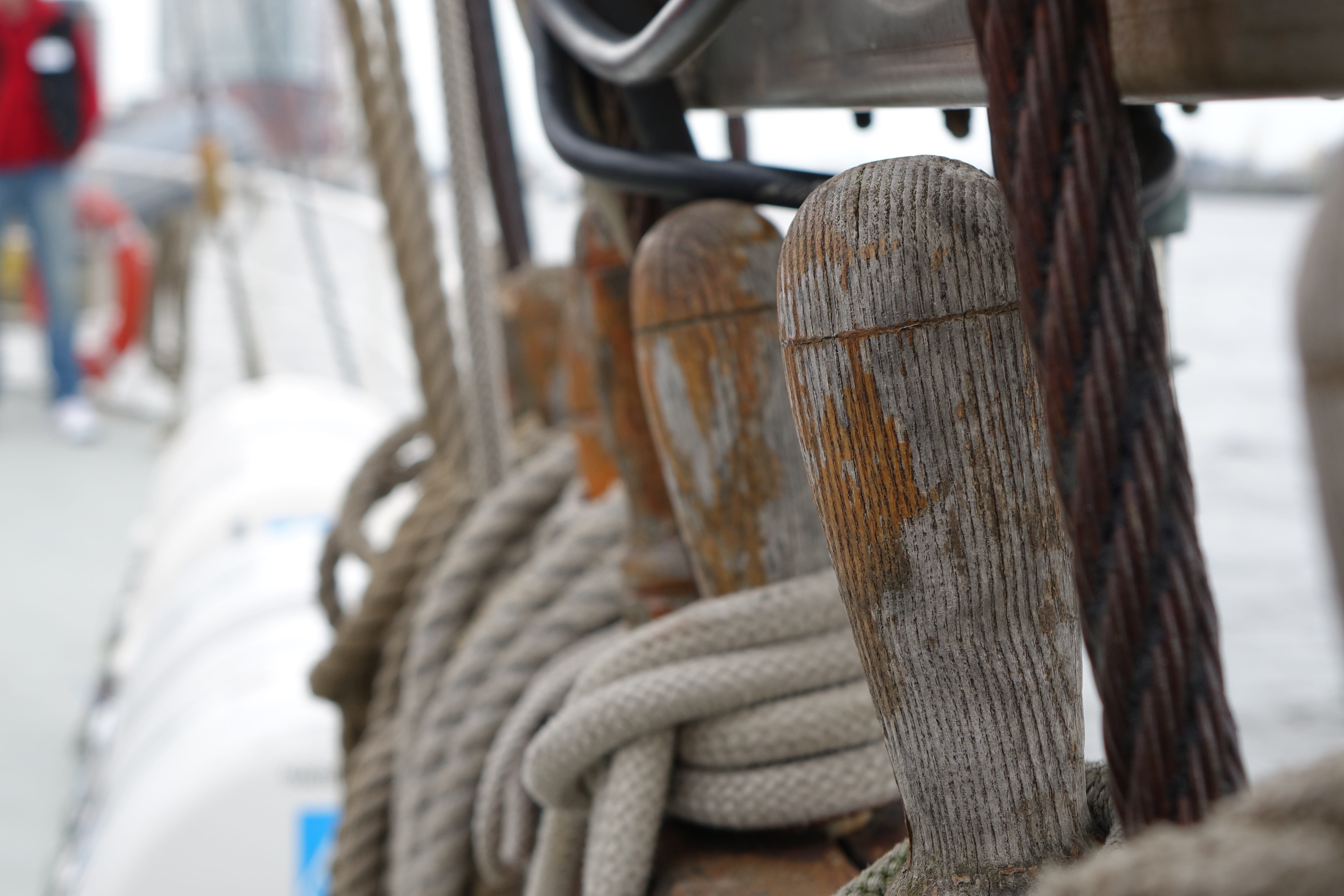 Sea, sail, wood - material, selective focus, travel, nature, rope, day, mode of transportation, 5K, strength, no people, Maritime, nautical vessel, Training Ship, HD Wallpaper