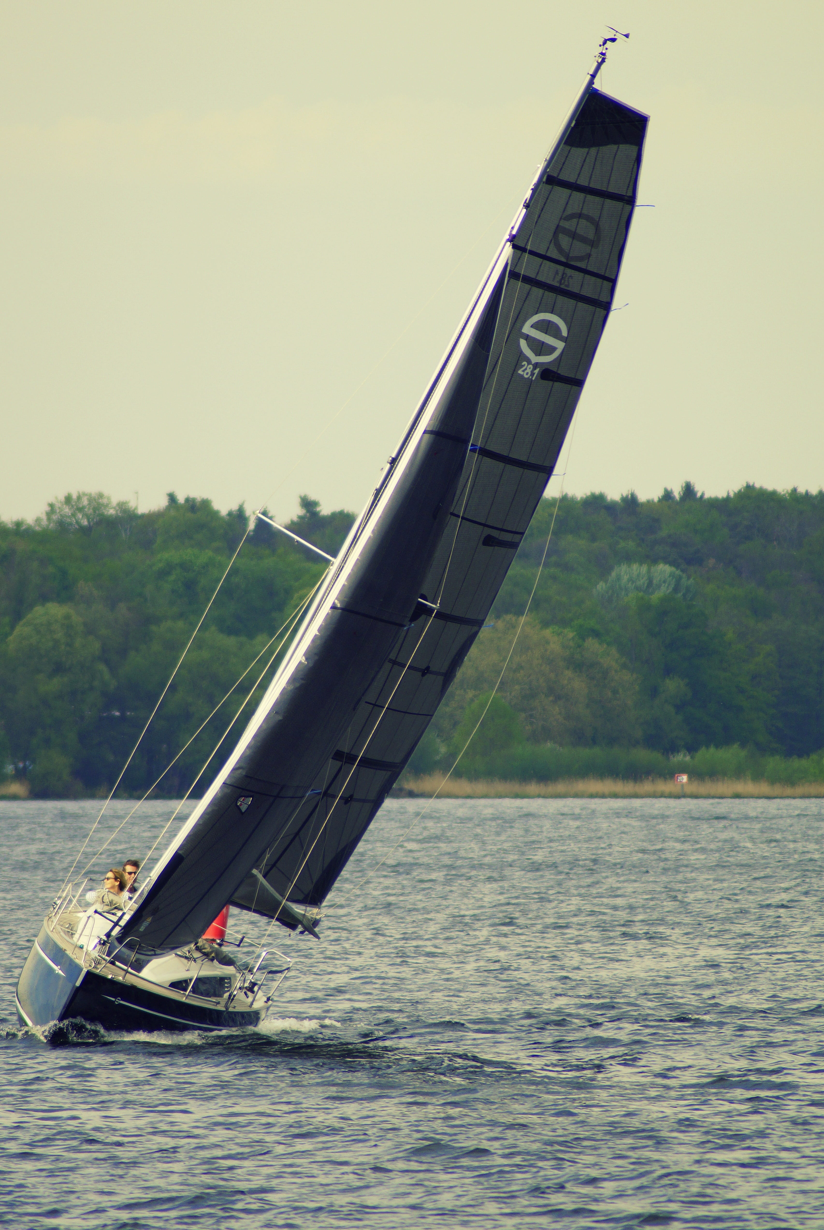 movement, transportation, boat, canvas, nautical vessel, sail, scenics - nature, training, tree, mode of transportation, sea, beauty in nature, 4K, activity, Phone HD Wallpaper