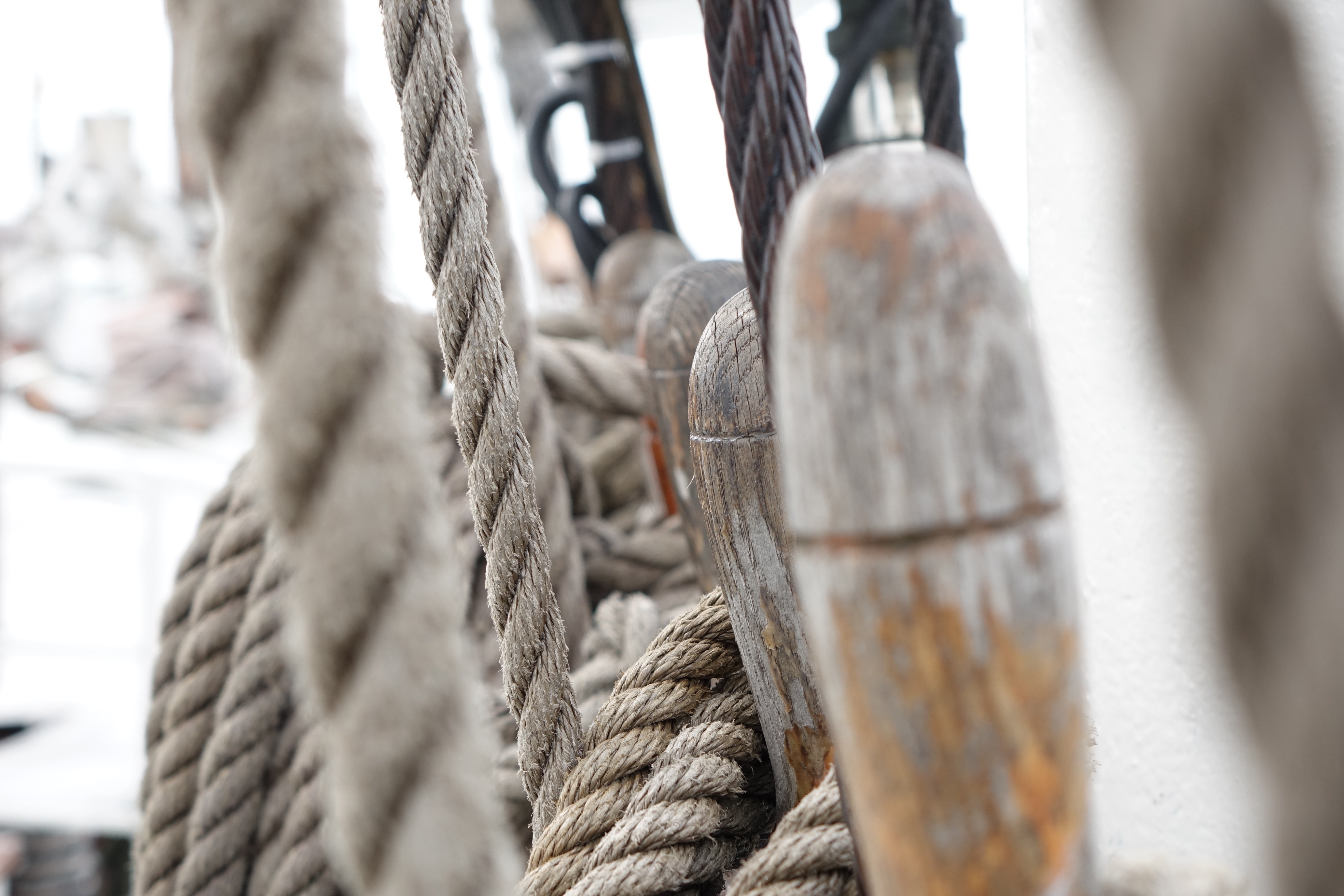 wood - material, rigging, hamburg, ropes, tied up, selective focus, training ship, tied, tied knot, water, day, nautical Vessel, sunlight, pattern, sailboat, HD Wallpaper