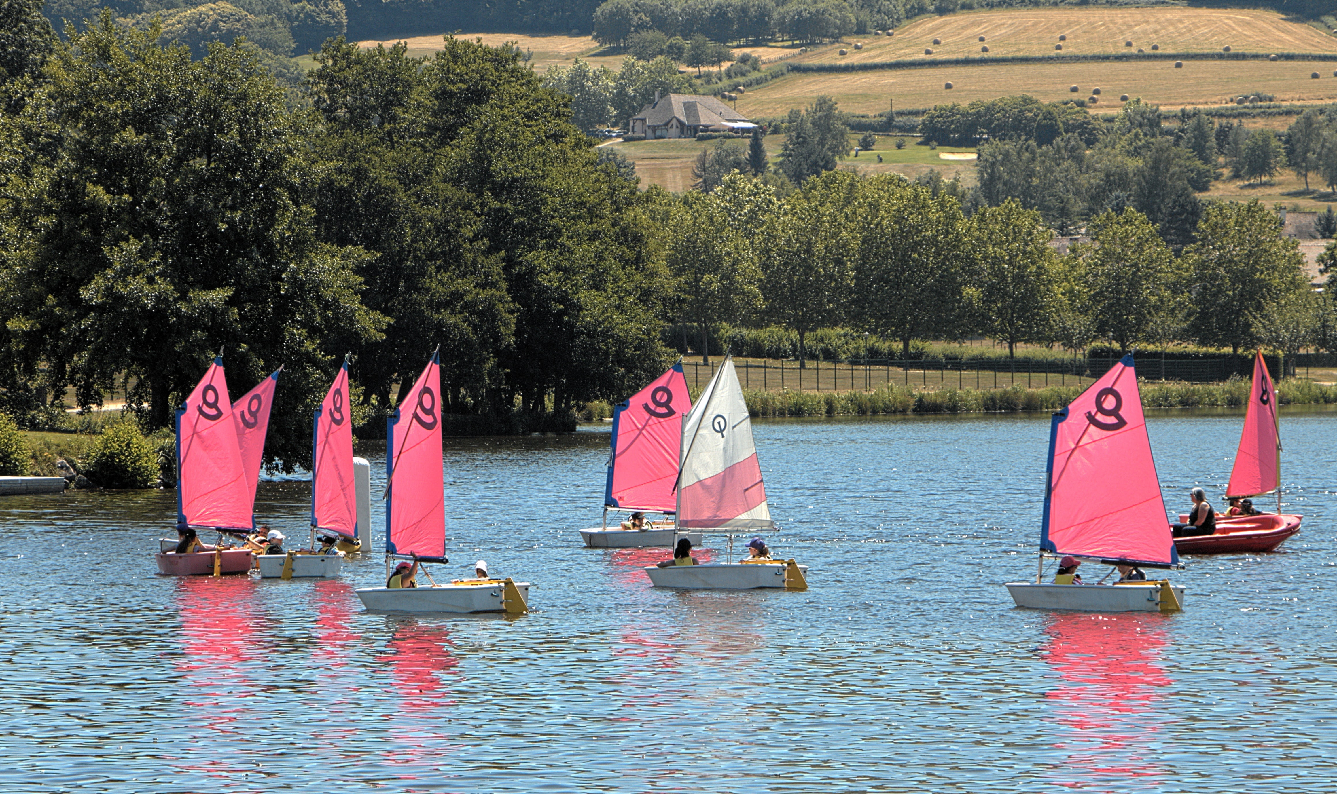 lake, transportation, boats, initiation, growth, sailing boat, plant, group of people, sport, water, nautical Vessel, navigation, real people, sailboat, HD Wallpaper