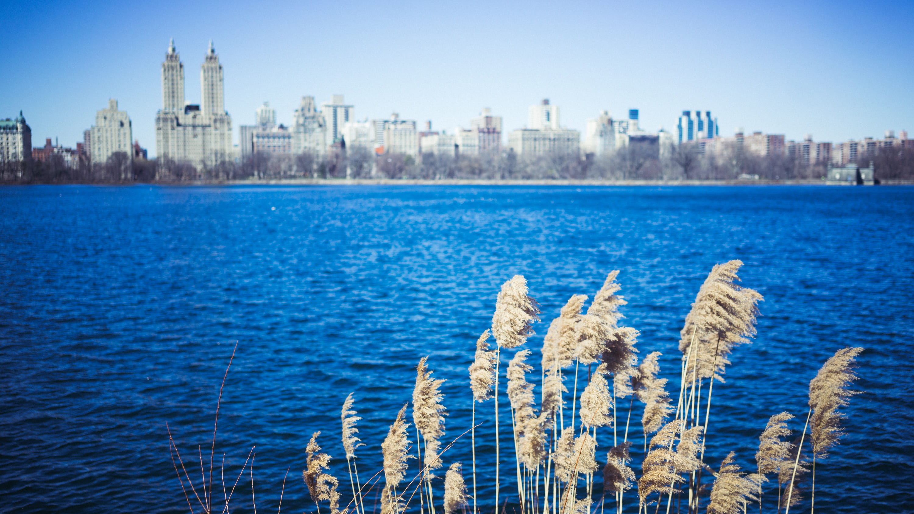 office building exterior, 2K, urban skyline, skyscraper, park, tower, lake, united states, nature, explore, trees, new york, city, central park, outside, HD Wallpaper
