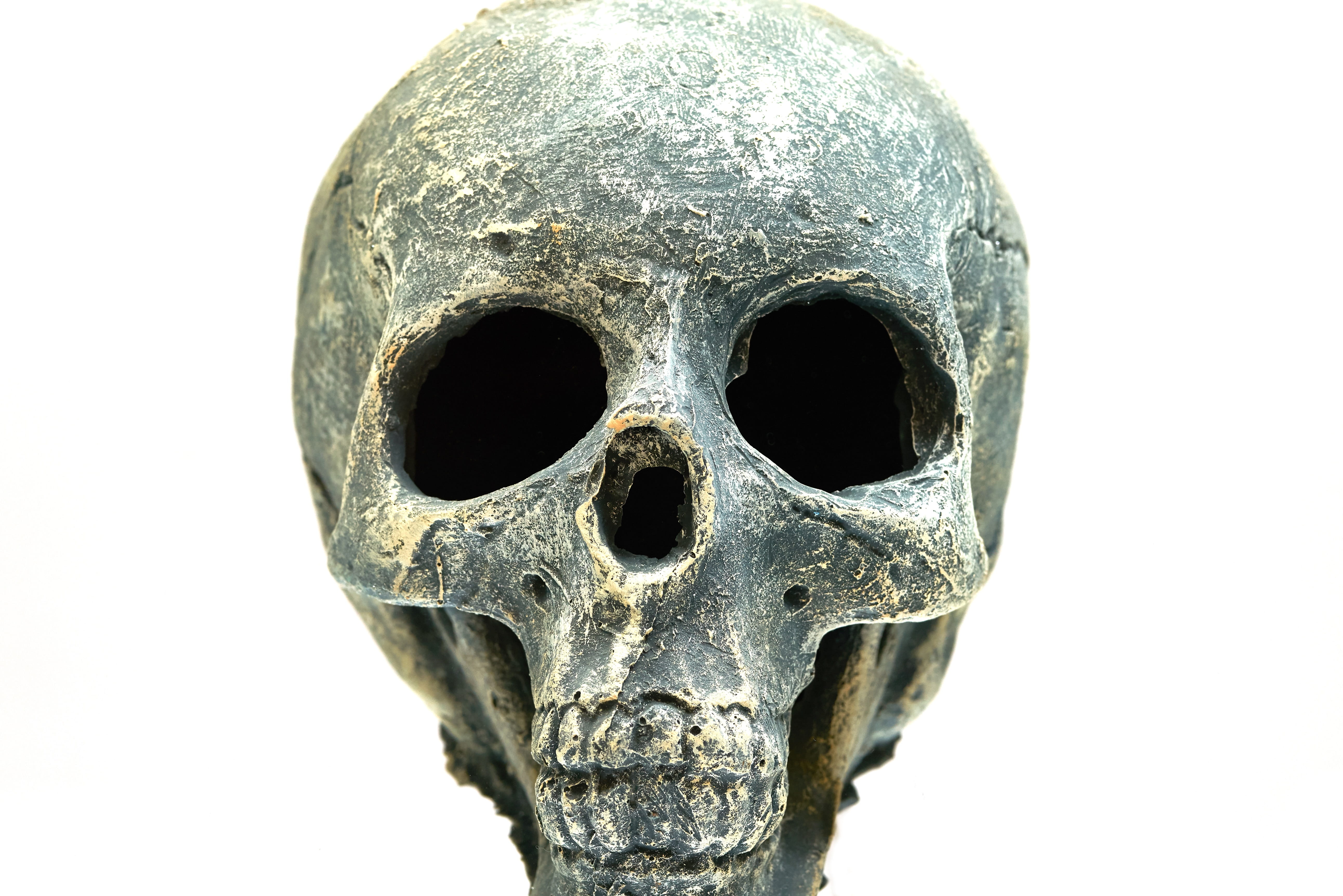 gothic, human skeleton, no people, head, deadly, studio shot, indoors, dark, horror, positive, dry head, fear, spooky, single object, white background, HD Wallpaper