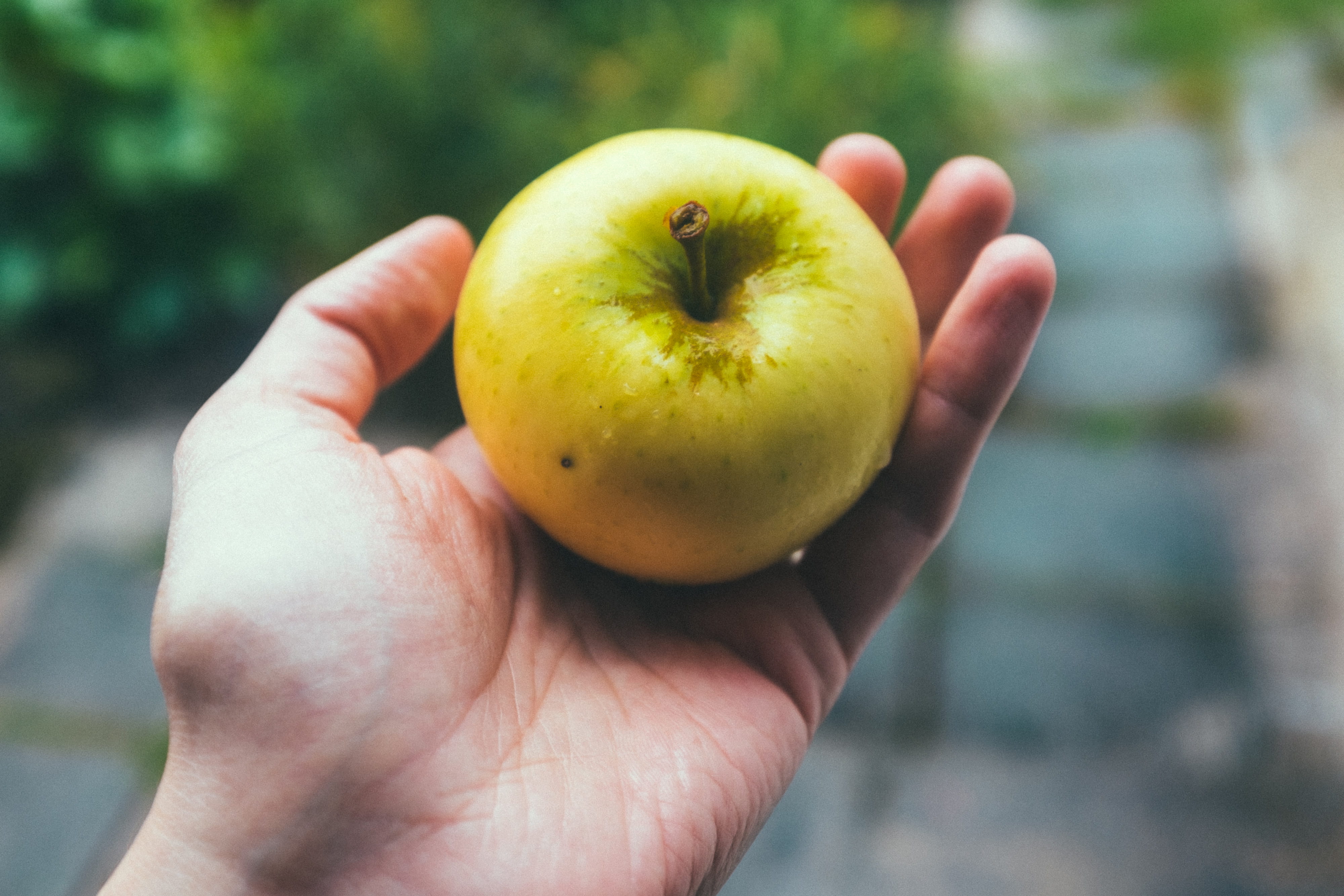 natural, food and drink, human hand, close-up, vitamin, agriculture, healthy, sweet, palm, healthy lifestyle, human body part, apple - fruit, single object, HD Wallpaper