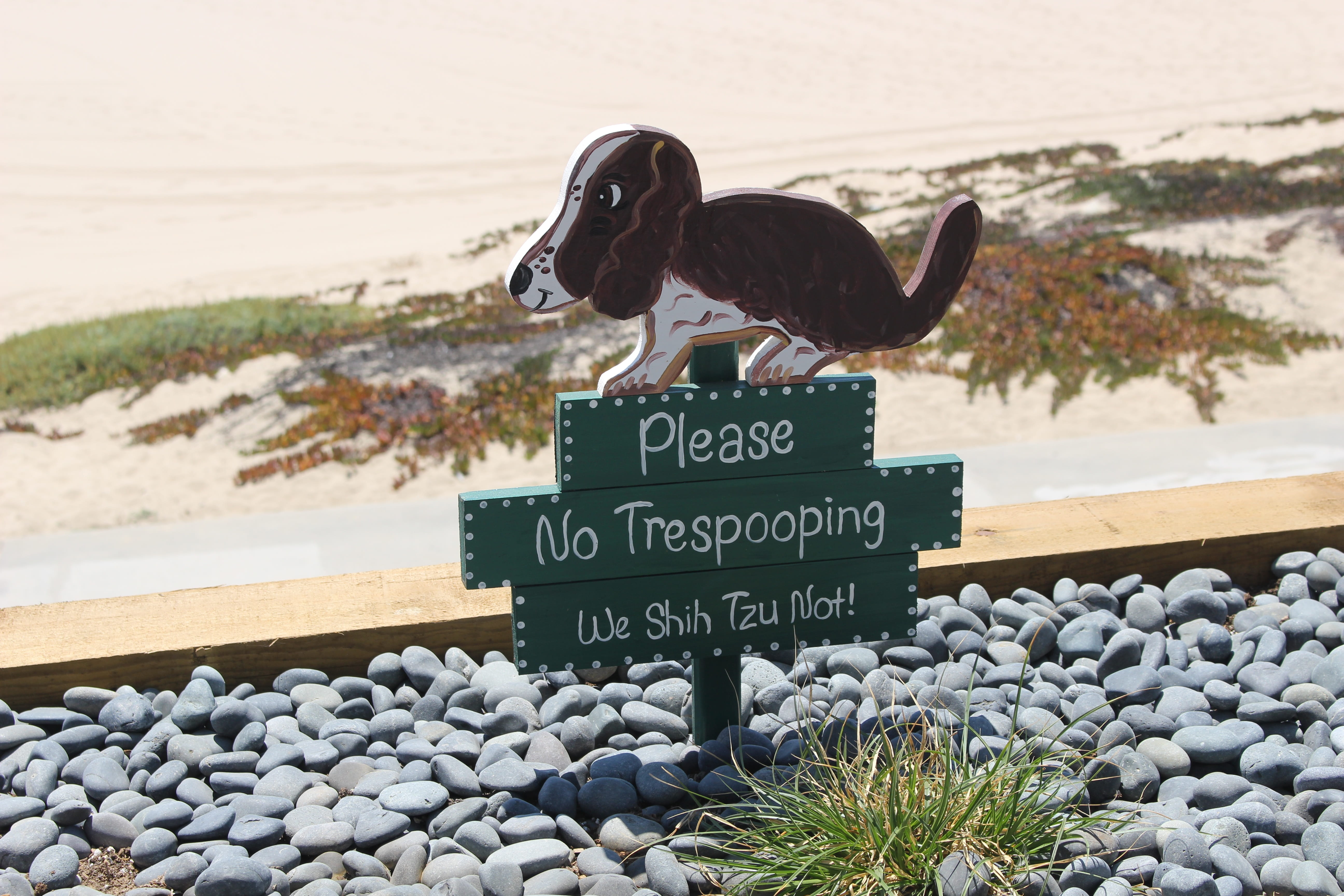 unhygienic, Dog, leash, representation, funny, scoop, day, Nature, art and craft, people, young, grass, water, Poop, park, western script, pebble, green, HD Wallpaper
