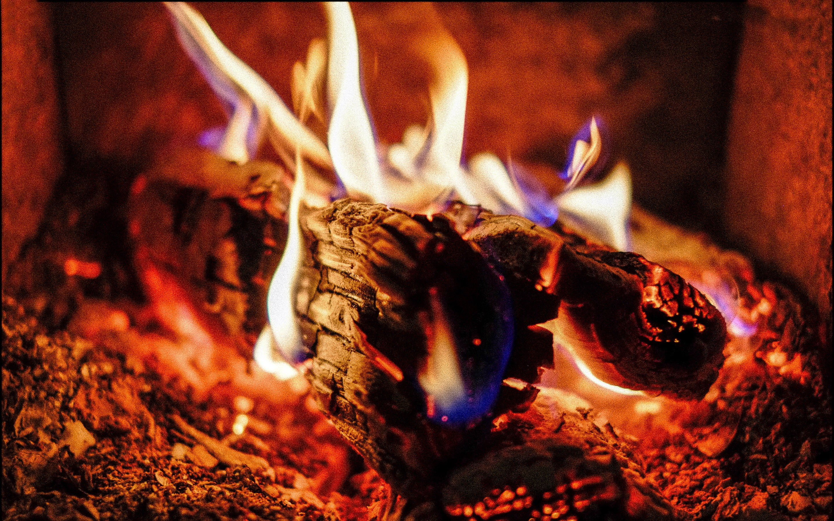 2K, selective focus, log, fire - natural phenomenon, glowing, close-up, bonfire, long exposure, firewood, orange color, fire, closeup, burning, no people, HD Wallpaper