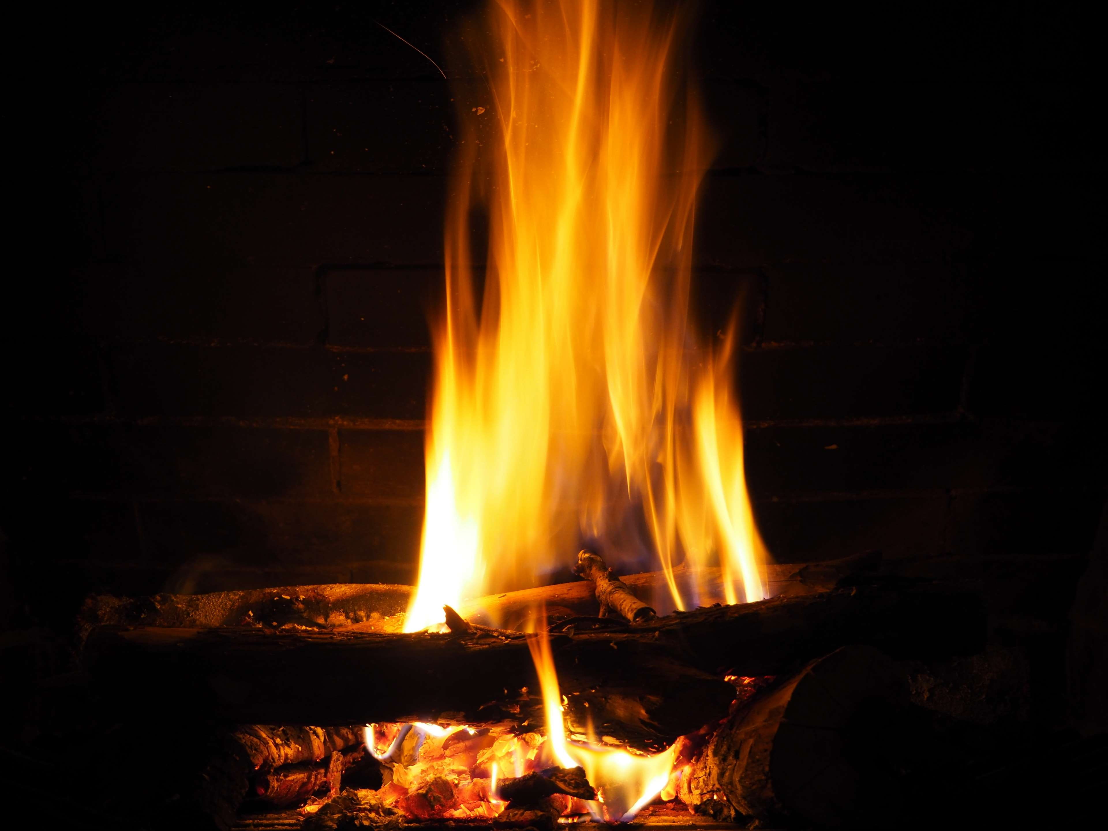 cold, hot, campfire, red, motion, winter, dark, nature, outdoors, flame, trunks, heat, embers, fireplace, firewood burned, pleasant, home, bonfire, wood, HD Wallpaper