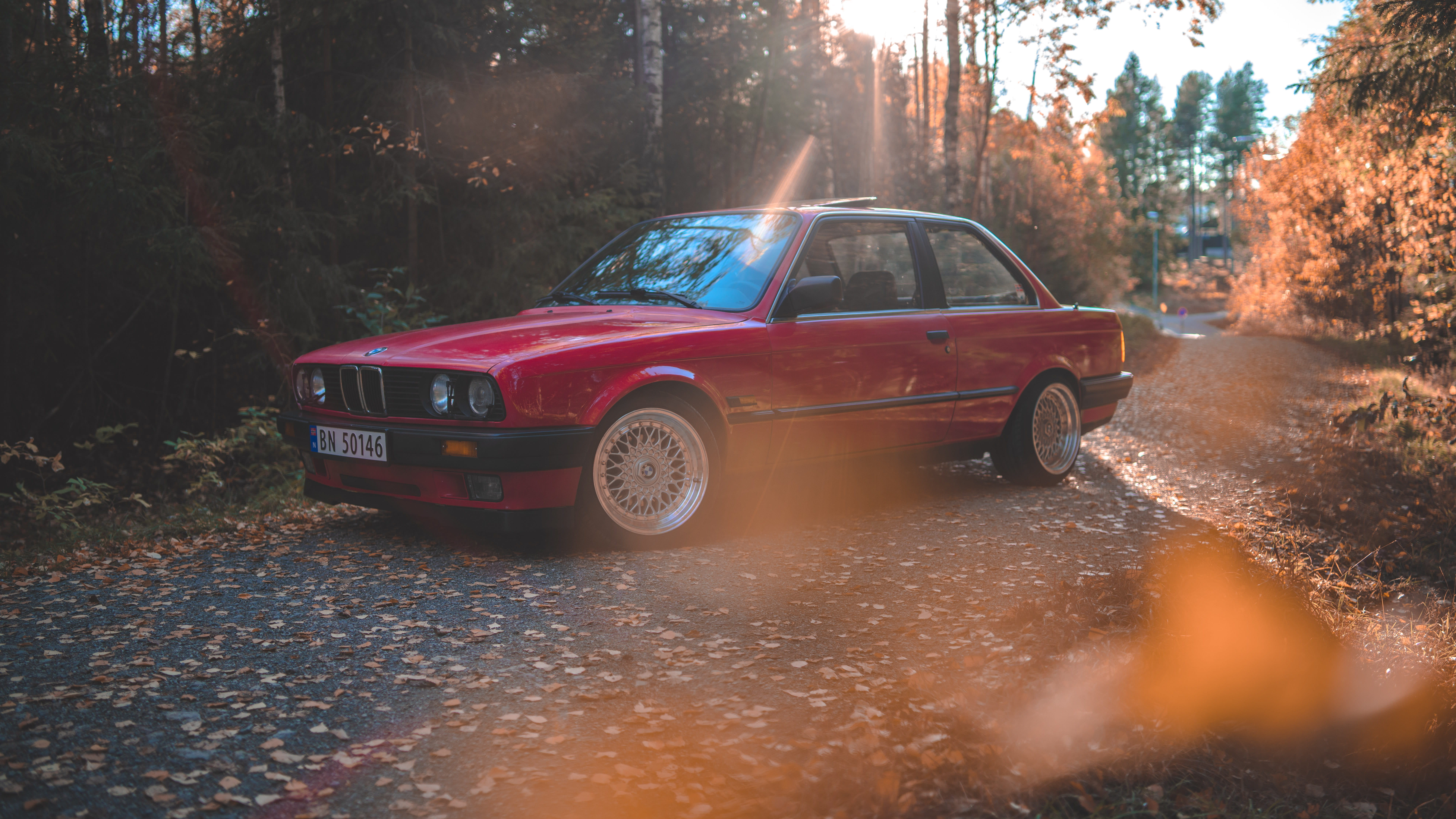 outdoor, mode of transportation, parked, red, road, travel, forest, old, woodland, bokeh, tree, 8K, plant, fall, classic car, sunlight, bmw, no people, HD Wallpaper