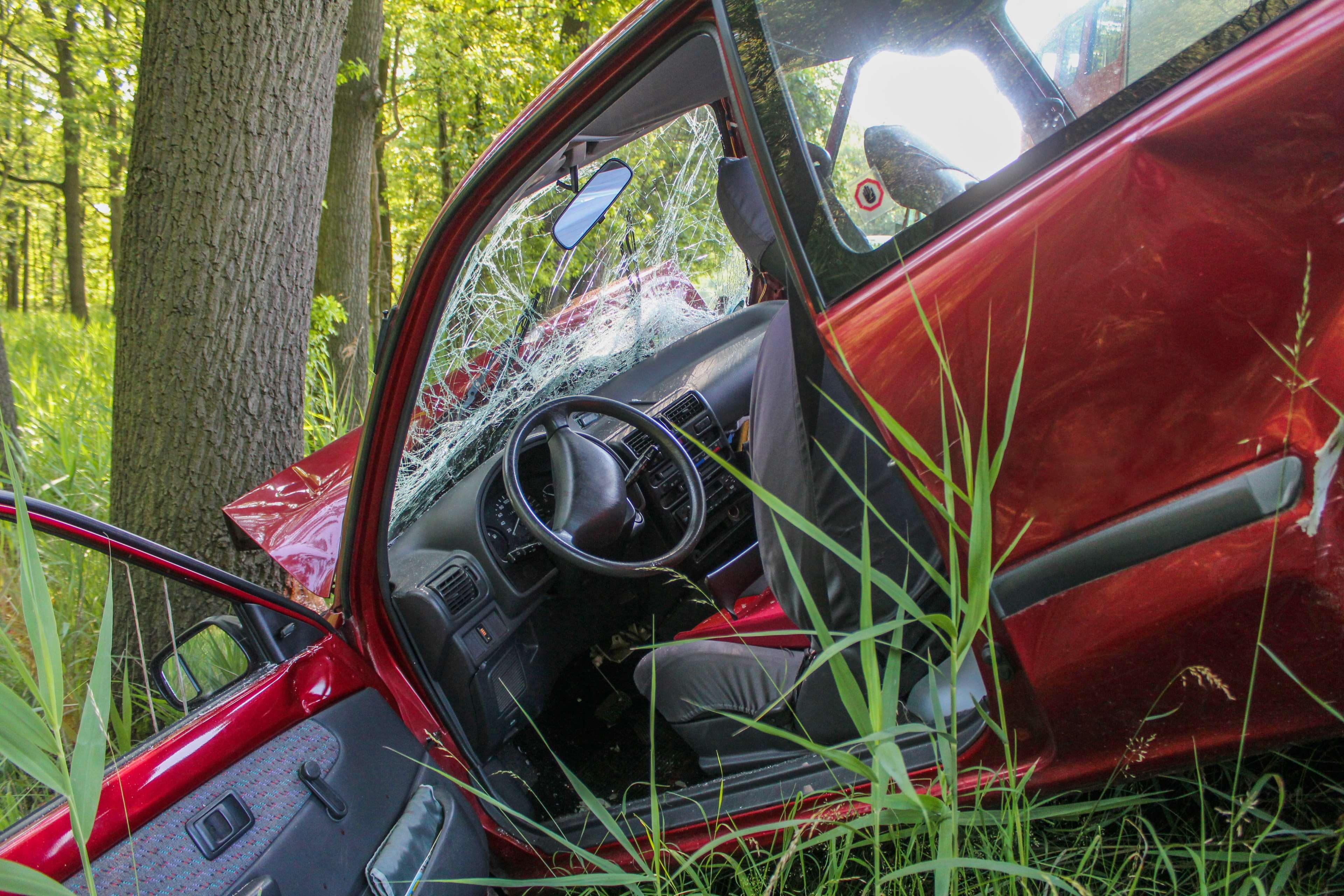 plant, crash landing, abandoned, tree, traffic, damaged, dare, day, no people, vku, warning triangle, wheel, car, land, crash, run-down, motor vehicle, HD Wallpaper