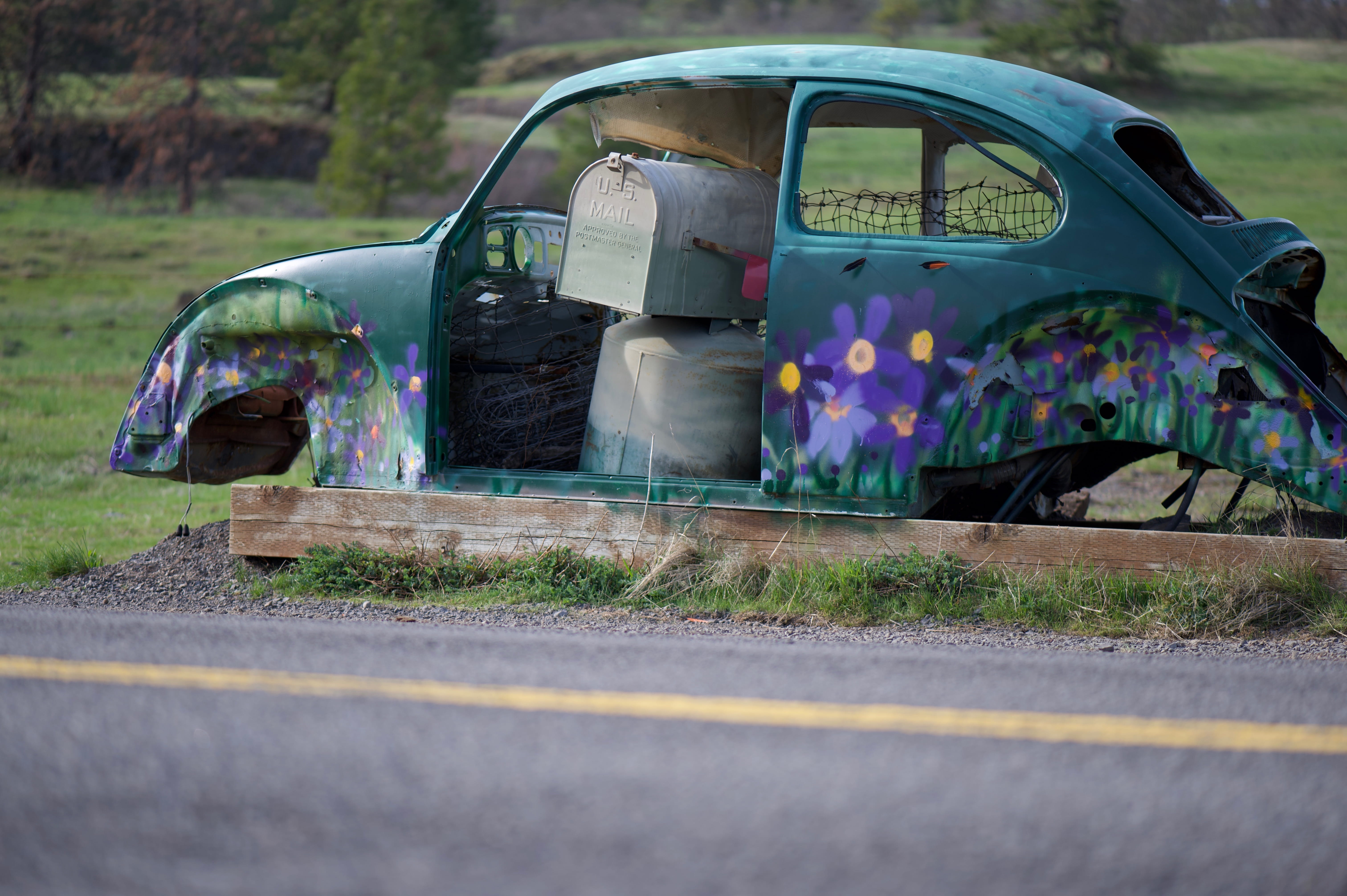 grass, 5K, travel, wheel, green, wa, no people, day, asphalt, catherine creek, stationary, volkswagen, misfortune, vehicle, tarmac, road, flowers, outdoors, HD Wallpaper