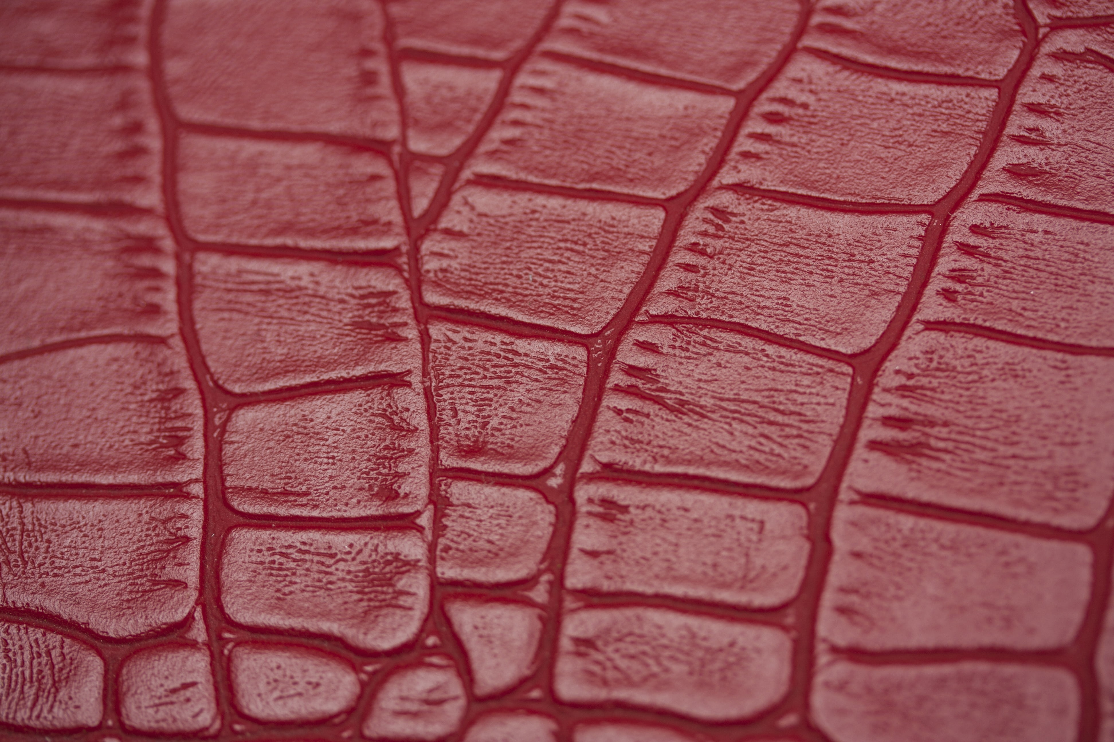 selective focus, full frame, close-up, extreme close-up, day, no people, red, leather, detail shots, snake, textile, textured effect, texture, textured, HD Wallpaper