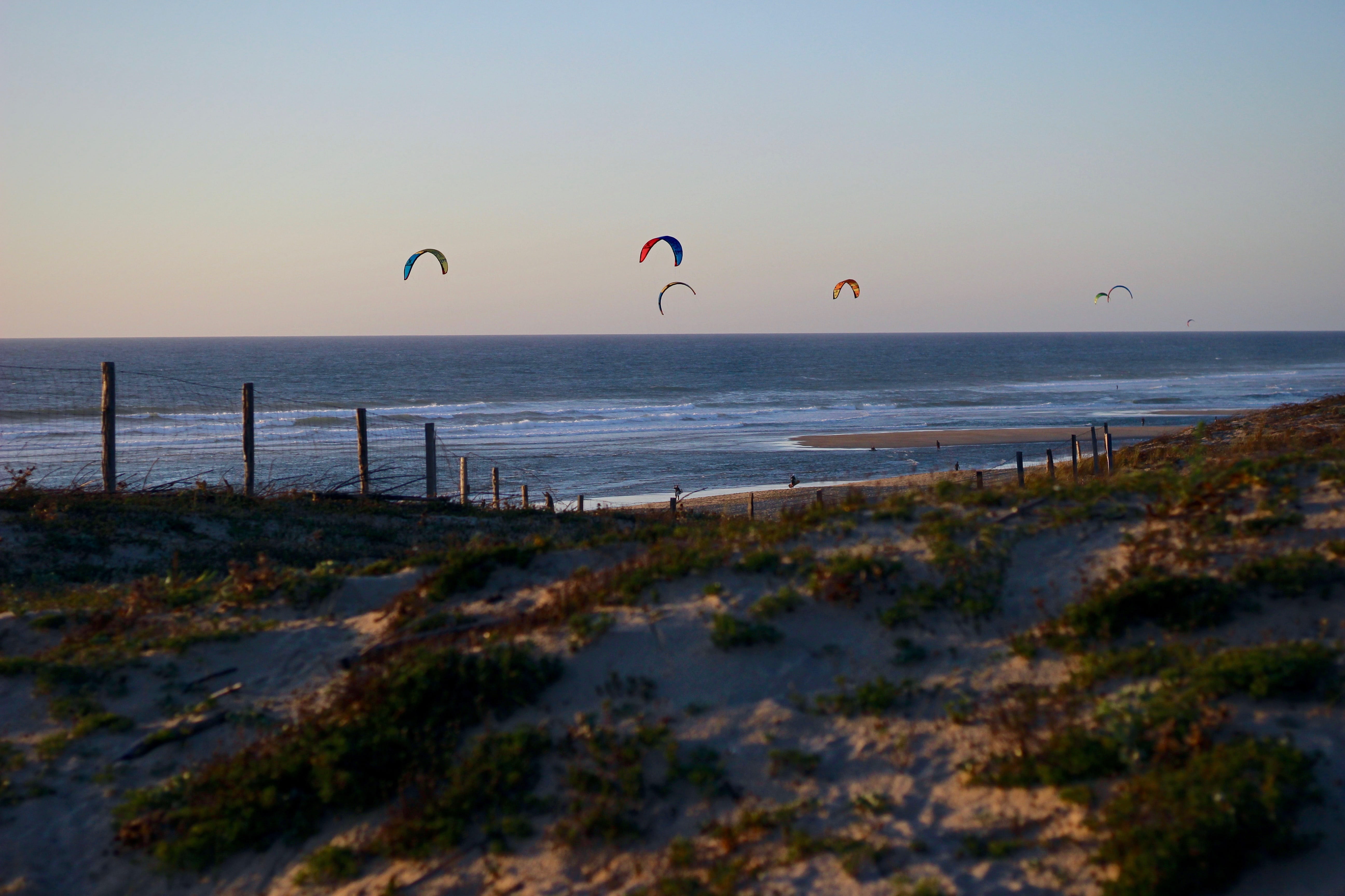 tranquility, costa, clear sky, sea, beauty in nature, activities, fun, spontaneous, outdoors, horizon, day, flying, nature, sport, tranquil scene, sky, HD Wallpaper