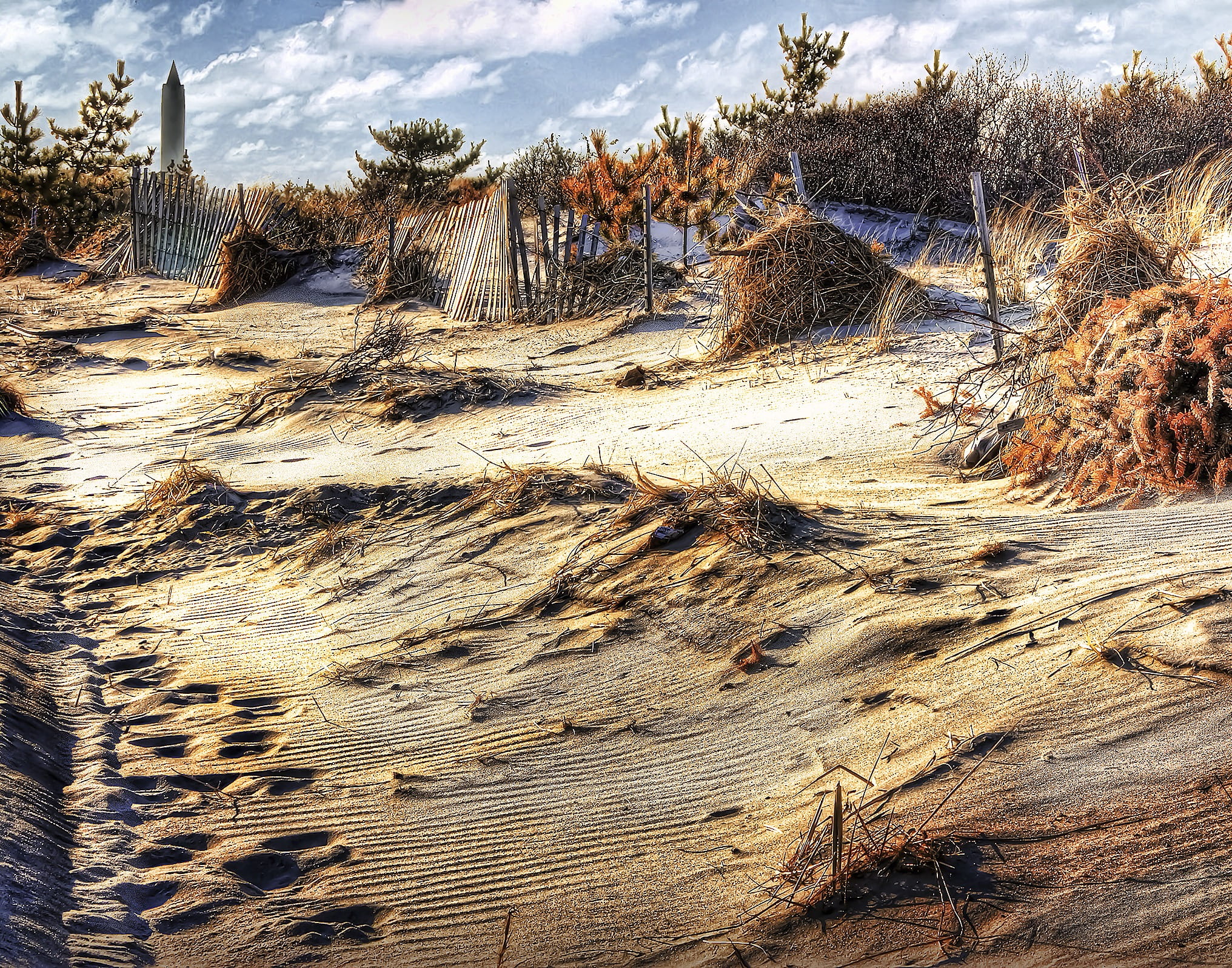 protection, daytime, sky, scrub brush, leaf, inland, grass, jones beach, 1080P, no people, solid, rock, coastal, dry, trees, dunes, dead plant, scenics - nature, HD Wallpaper