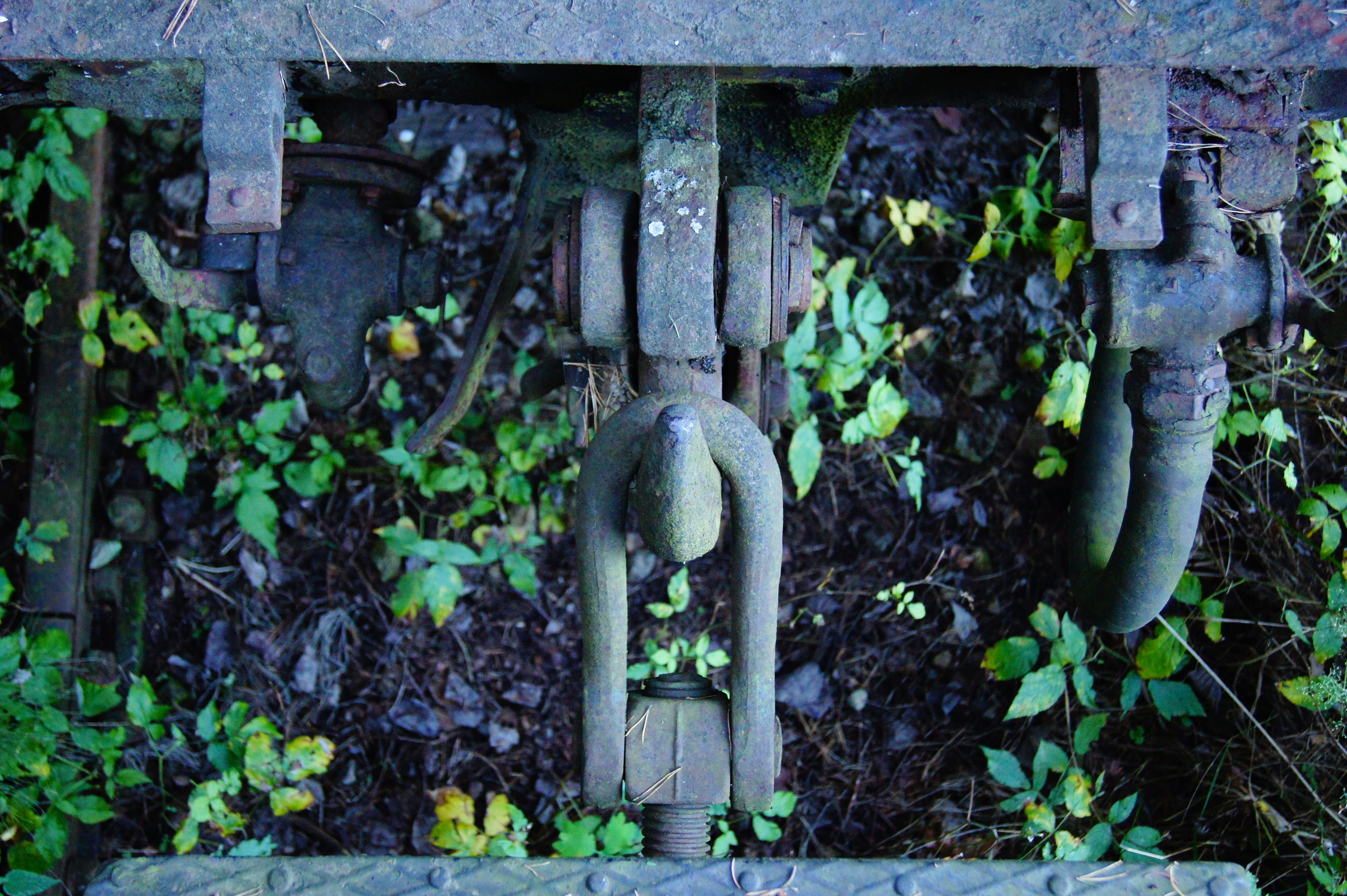 4K, day, metal, close-up, built structure, damaged, buffer, leaf, plant, outdoors, rusted, growth, weathered, architecture, old, obsolete, no people, clutch, HD Wallpaper