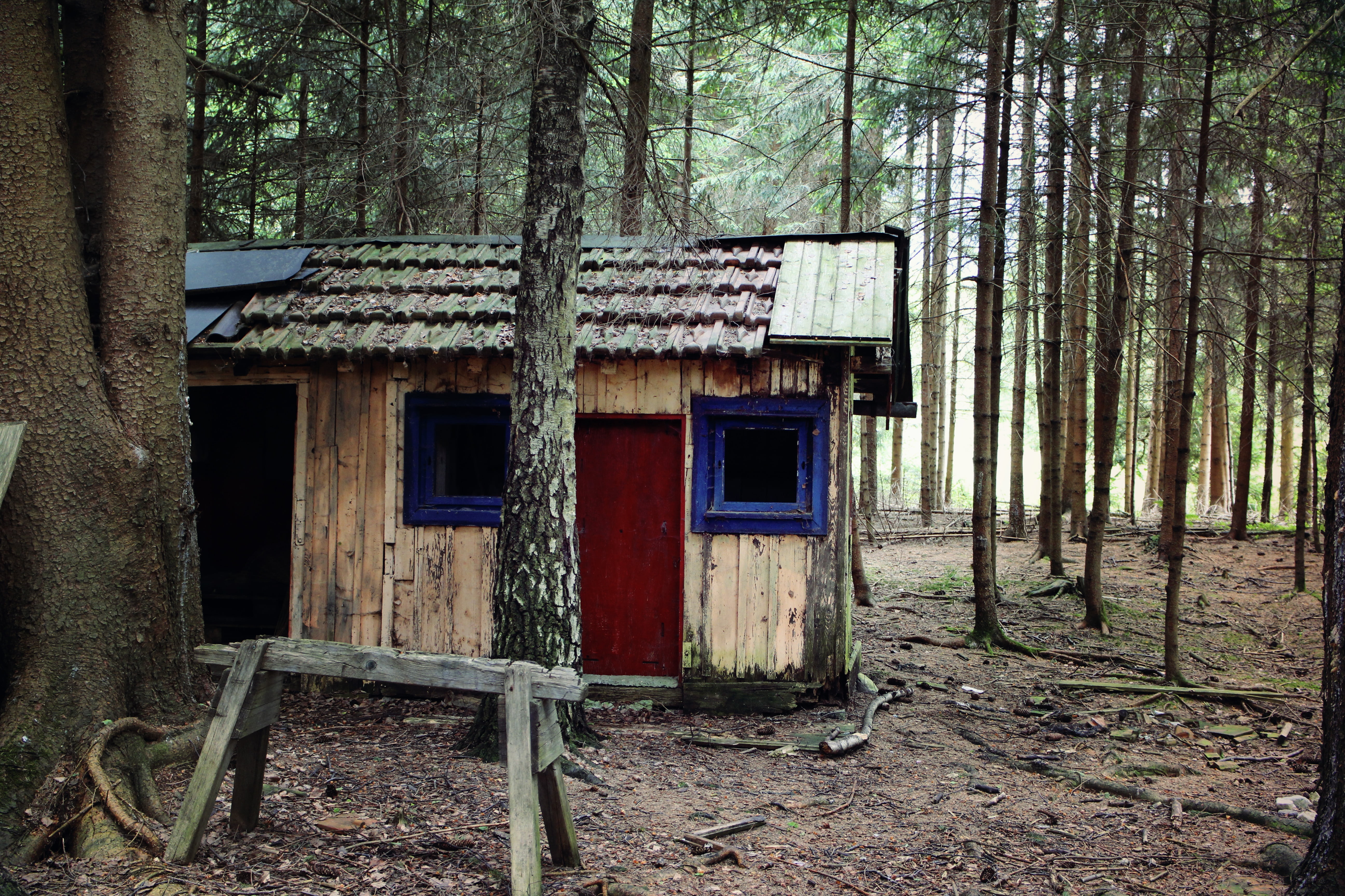 daytime, building, tree, abandoned, no people, day, cottage, forest lodge, building exterior, plant, scale, rest house, hut, nature, barn, land, trunk, HD Wallpaper