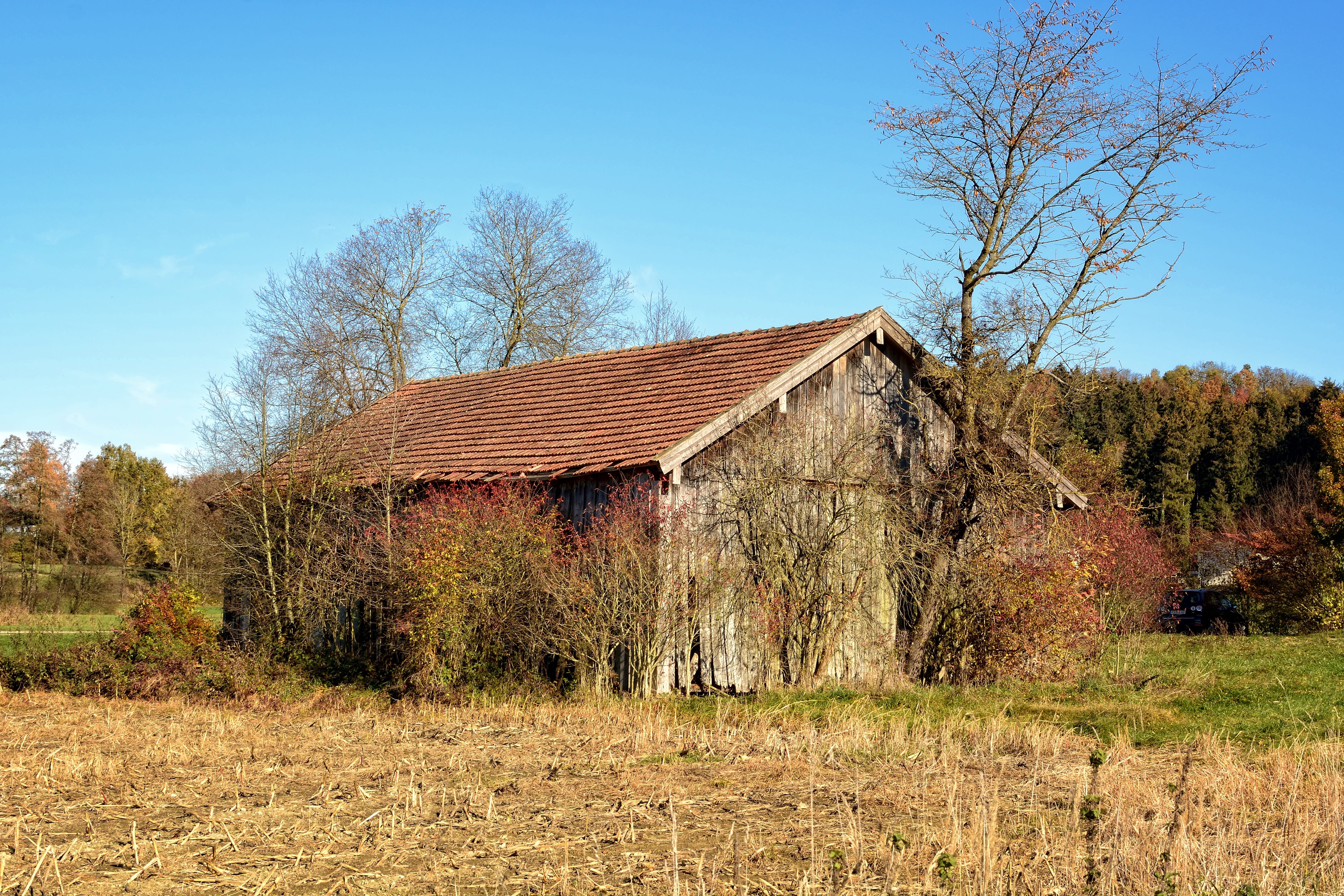 environment, blue, land, building exterior, built structure, architecture, wooden boards, tree, day, log cabin, scale, bare tree, 5K, house, barn, rural scene, HD Wallpaper