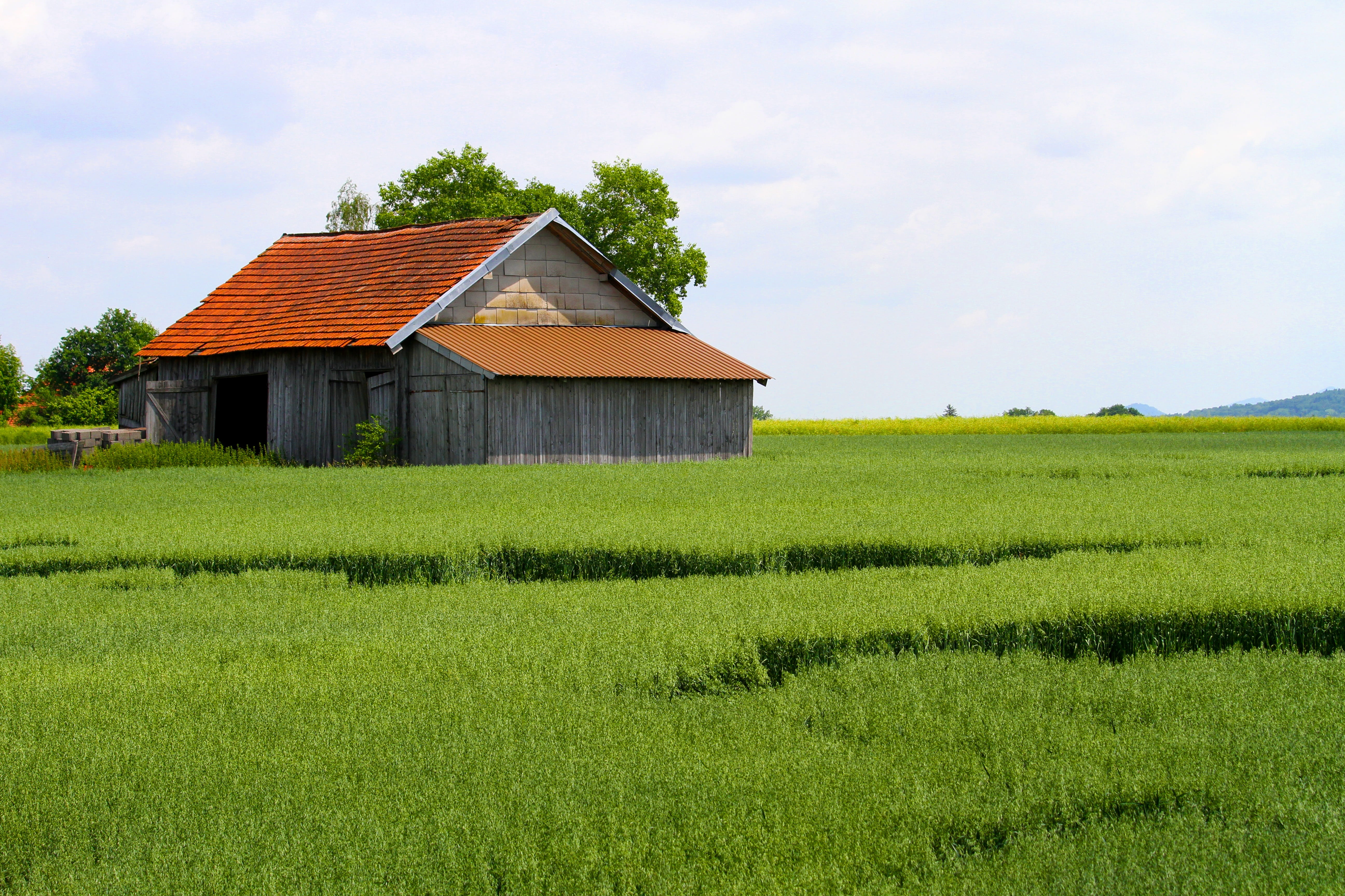 hut, meadow, sky, grass, plant, landscape, beauty in nature, rural scene, land, day, no people, farm, plantation, growth, old, building exterior, building, HD Wallpaper