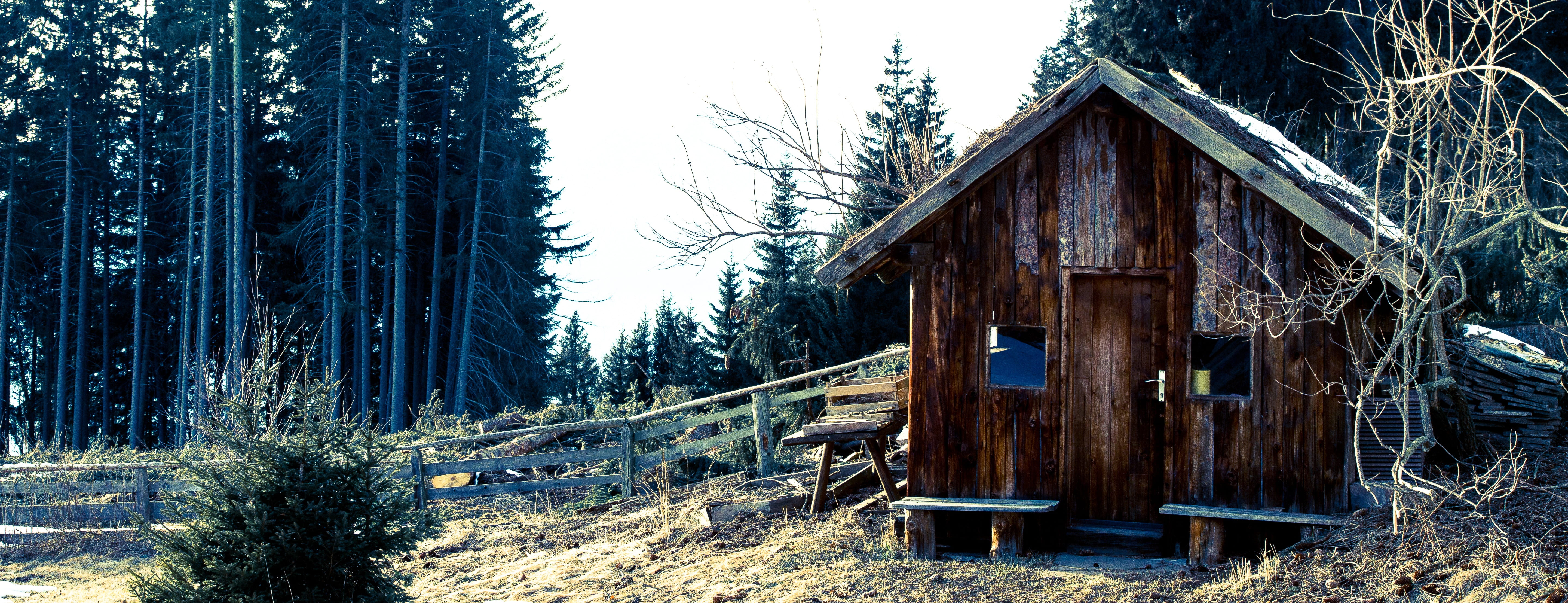 5K, decay, building exterior, wood - material, cabin, wood, sky, woodland, alm, outdoors, trees, scale, wooden, built structure, autumn, boards, non-urban scene, HD Wallpaper