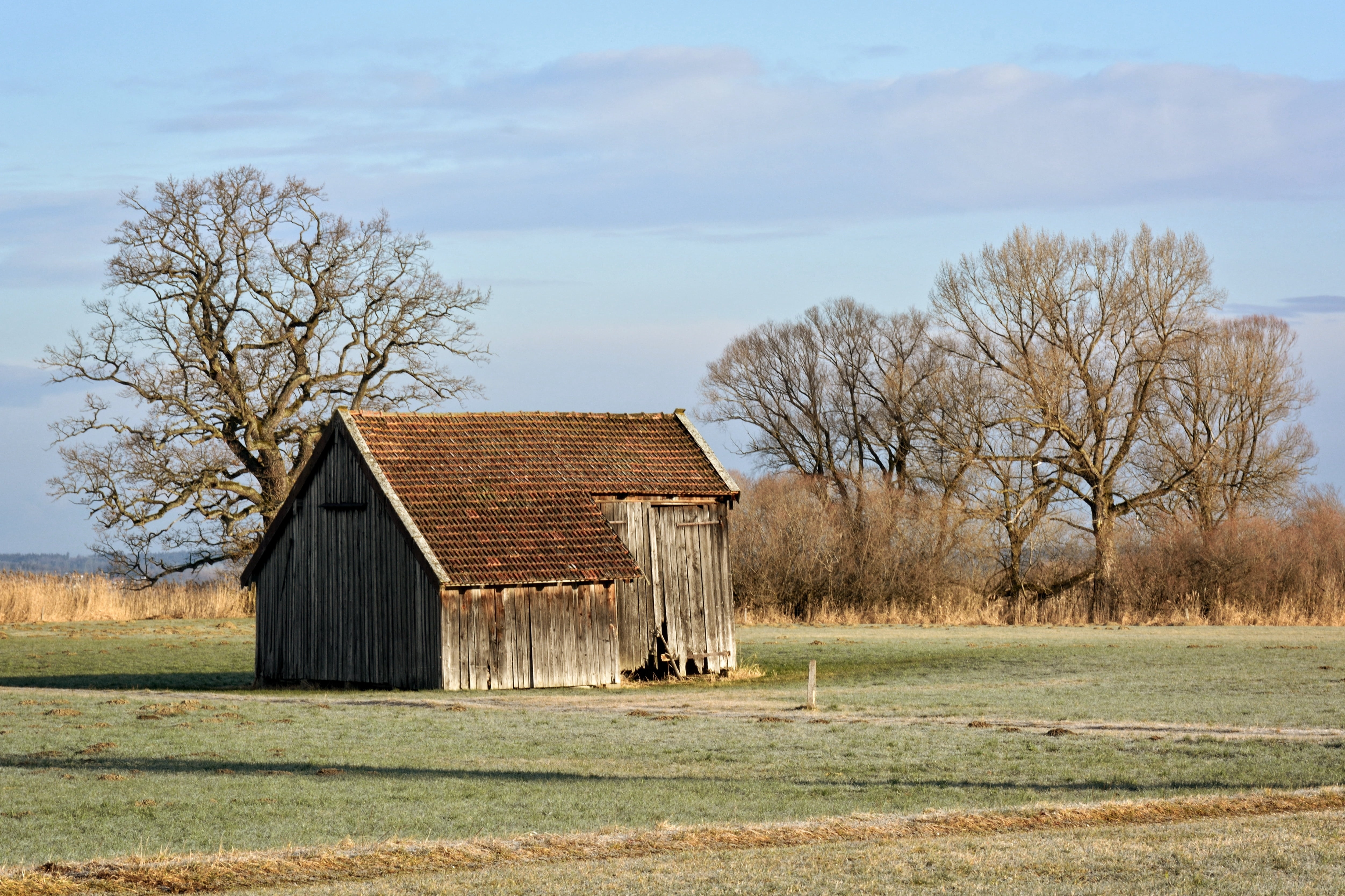 upper bavaria, grass, scale, tree, built structure, environment, building exterior, wood - material, shed, plant, barn, meadow, farm, nature, sky, agriculture, HD Wallpaper