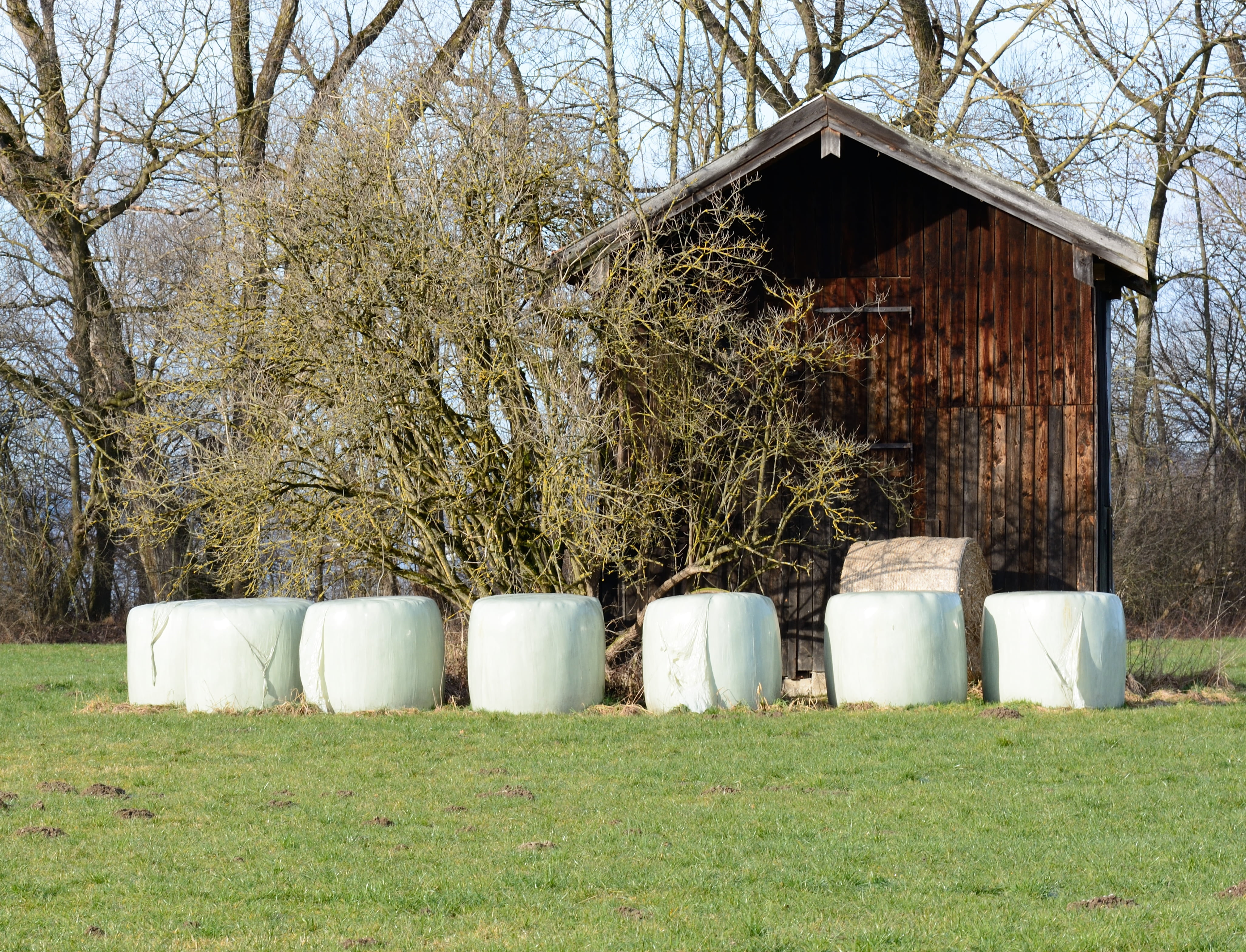 old, landscape, cylinder, architecture, plant, grass, nature, tree, pasture, day, field barn, scale, agriculture, bavaria, building exterior, green color, HD Wallpaper