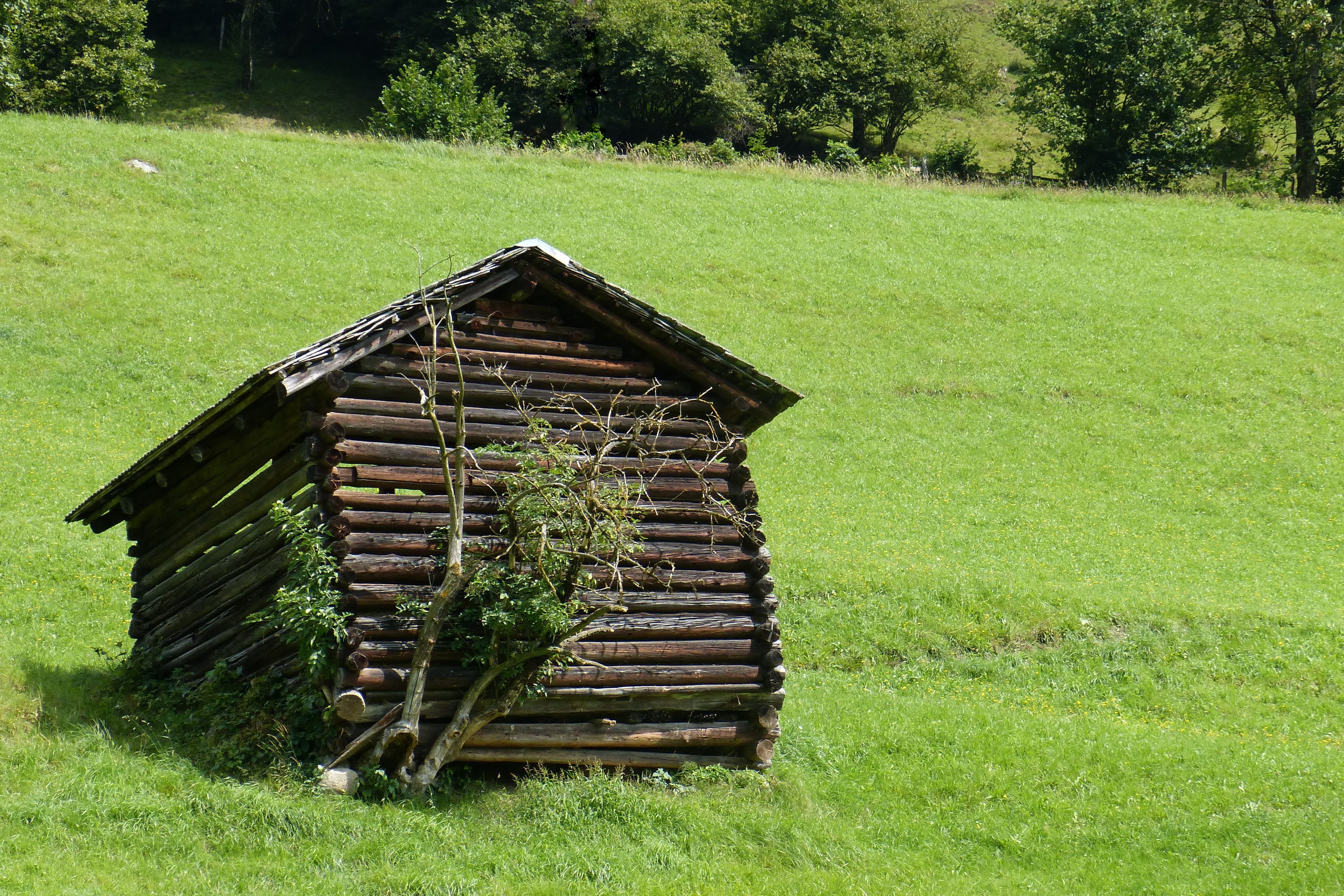 field, green color, heustadel, scenics - nature, grass, scale, plant, land, log cabin, barn, growth, landscape, architecture, outdoors, mountain meadow, HD Wallpaper