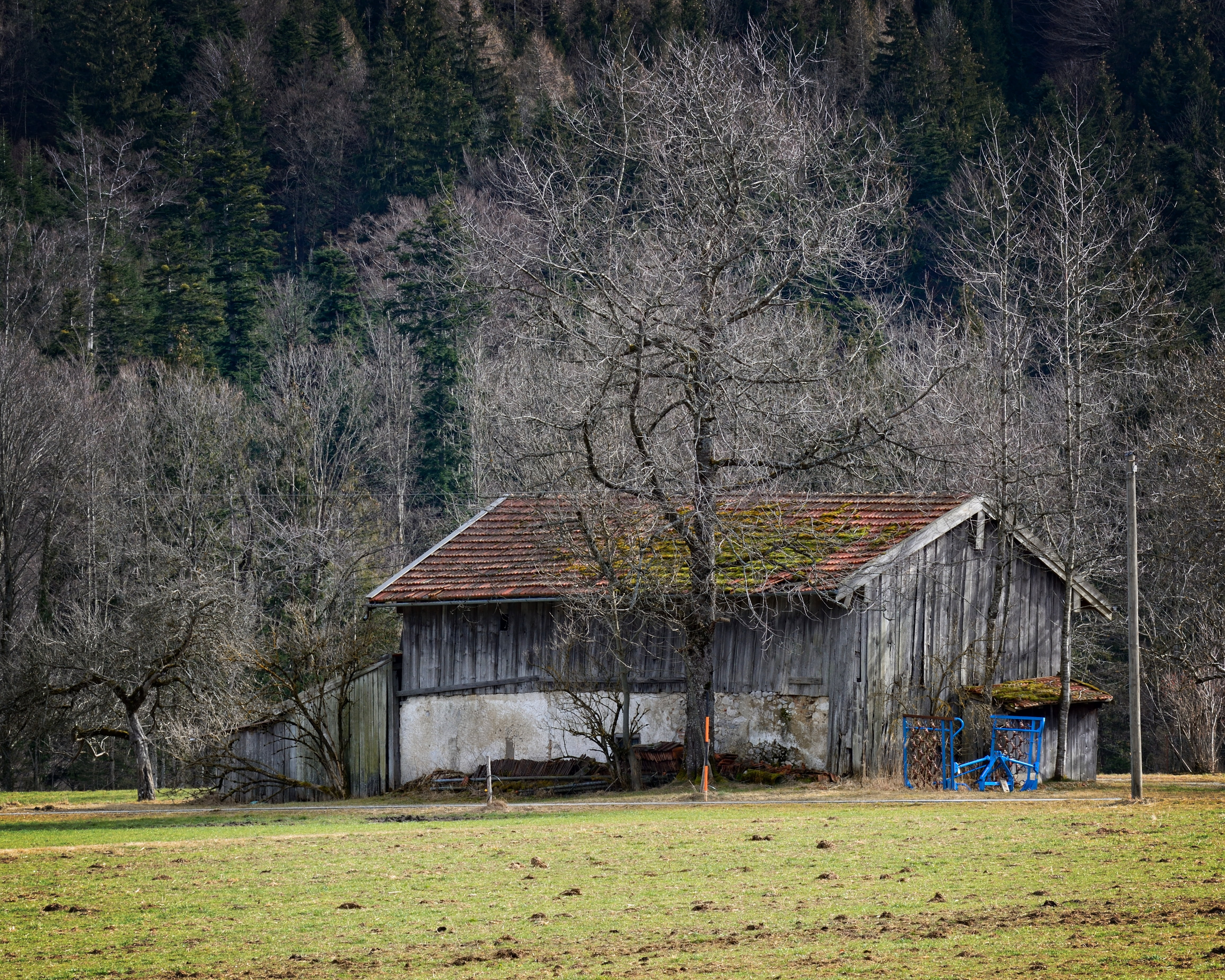scale, meadow, day, tree, field, bavaria, nature, plant, tile roof, land, 4K, building exterior, agricultural building, agriculture, building, landscape, HD Wallpaper