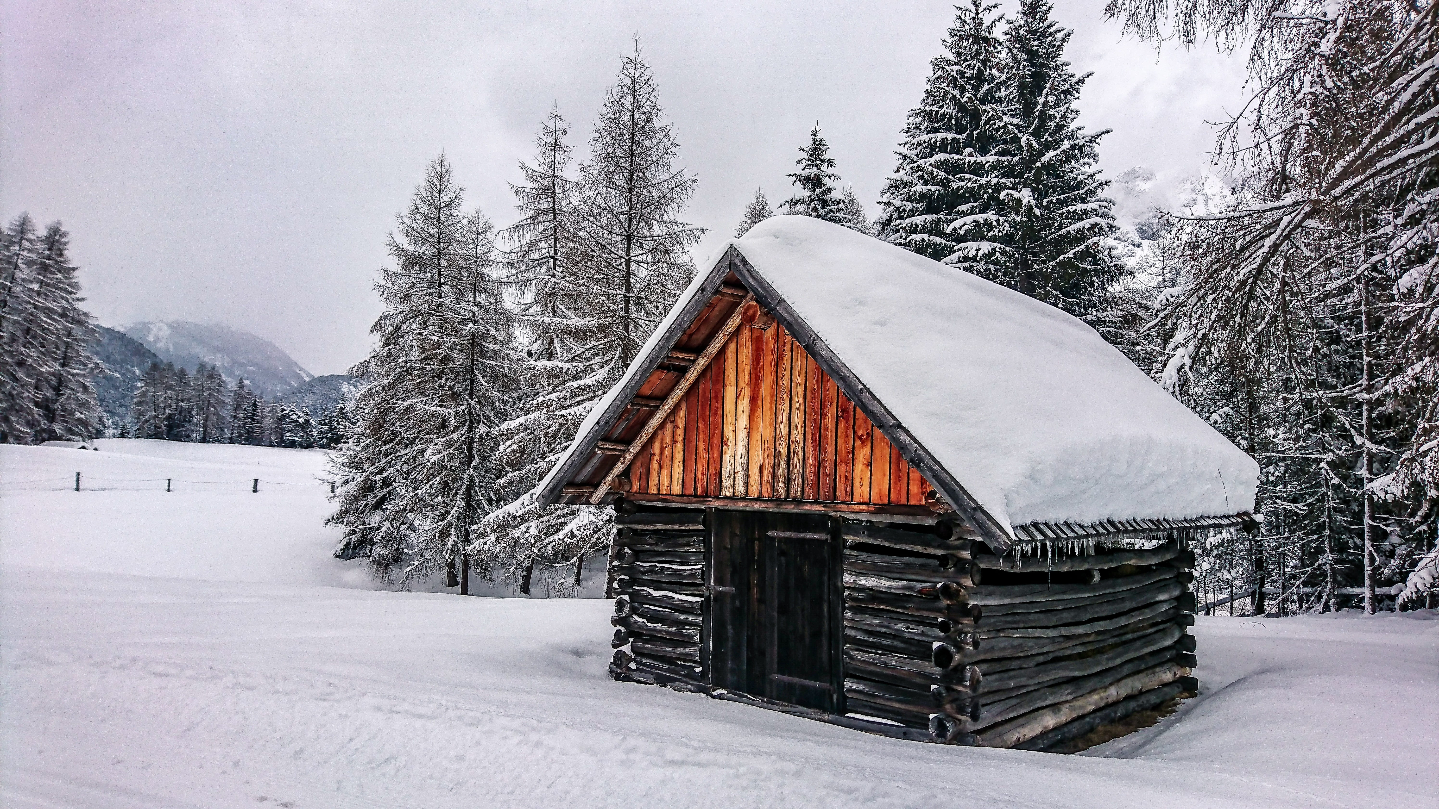 cottage, 5K, ice, stall, snow, outdoors, wintry, no people, land, alb, tradition, powder snow, cold temperature, scenics - nature, icicle, woodland, white color, HD Wallpaper