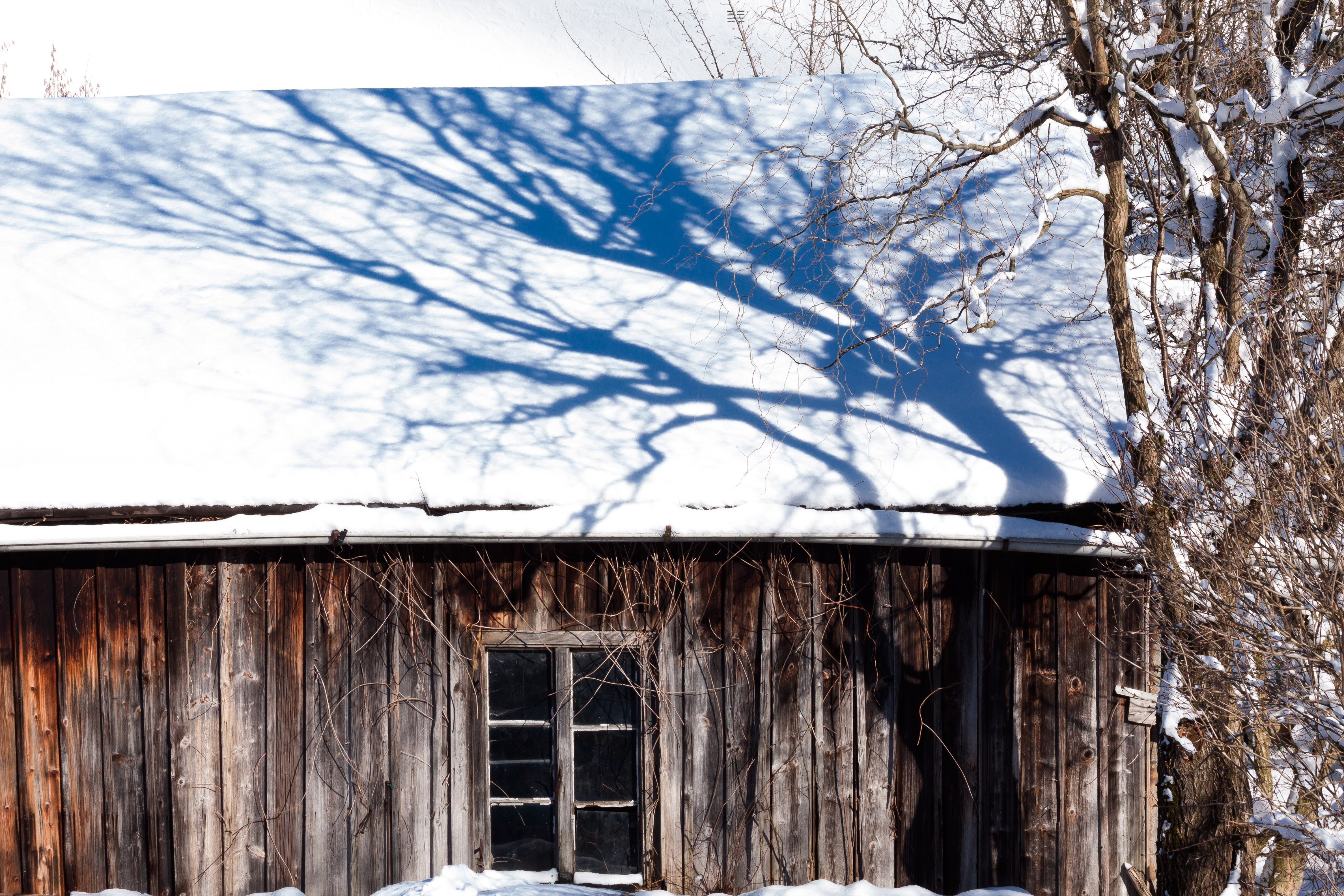 weathered, building exterior, building, scale, wood - material, background, plant, decay, abandoned, architecture, winter, built structure, nature, hut, HD Wallpaper