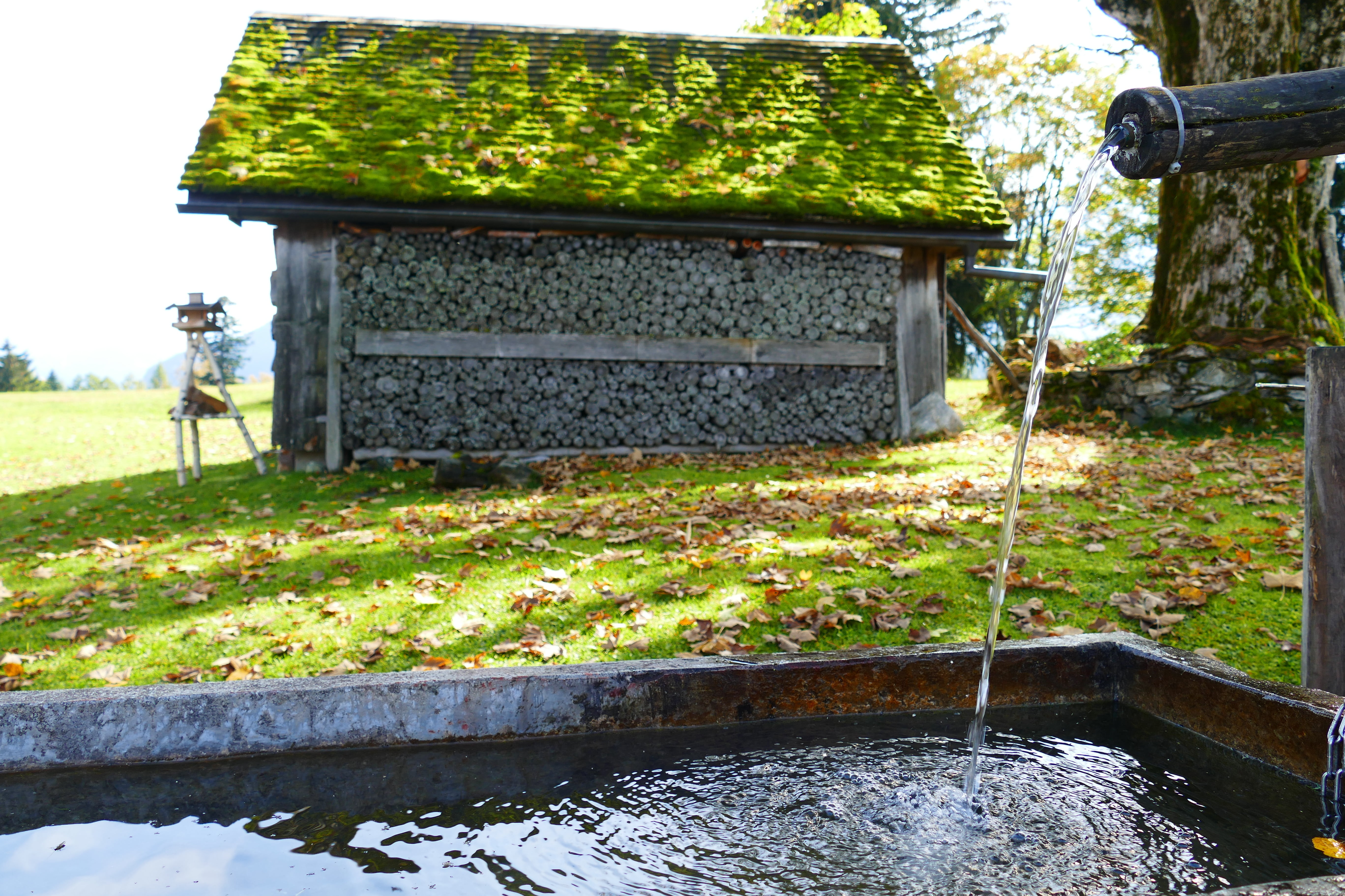 5K, architecture, no people, nature, fountain, stock, plant, rural scene, water, outdoors, tree, wood, log cabin, grass, day, plant part, tranquility, HD Wallpaper