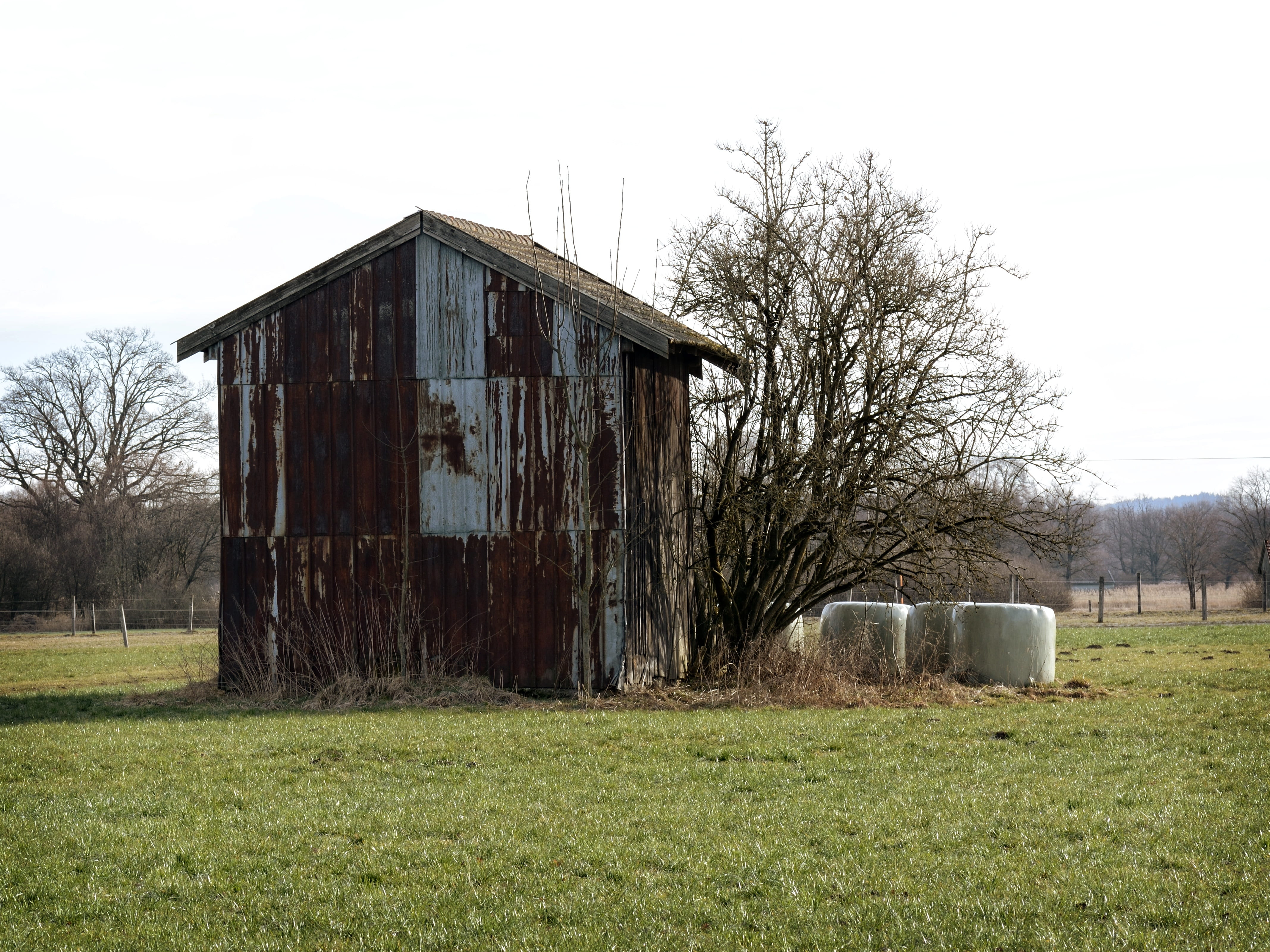 farm, sky, field barn, plant, abandoned, day, Nature, tree, outdoors, shed, meadow, agricultural building, building exterior, agriculture, built structure, HD Wallpaper