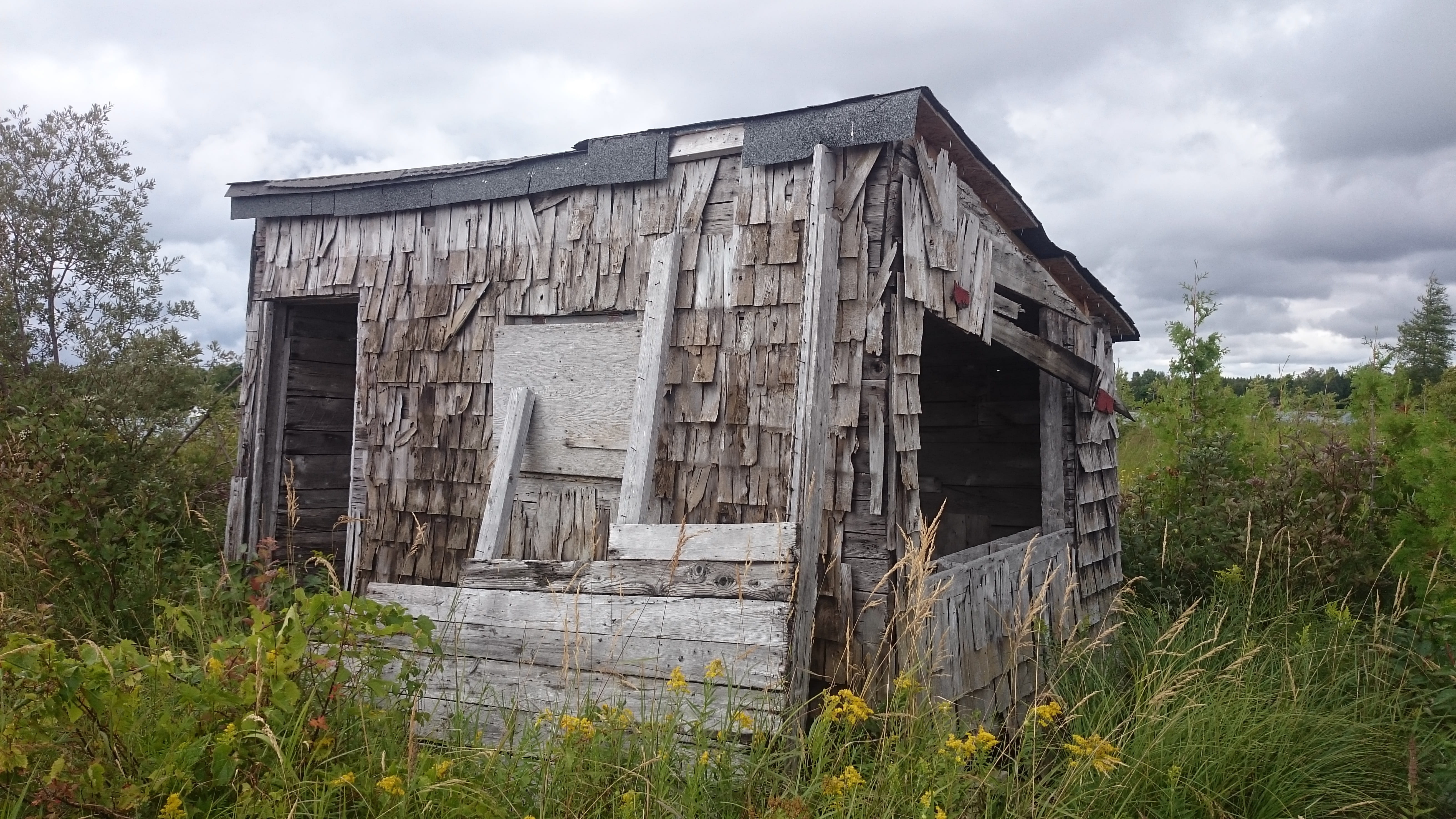 run-down, residential district, leave, usa, deterioration, weathered, plant, log cabin, 5K, wood - material, outdoors, house, cloud - sky, building, nature, HD Wallpaper