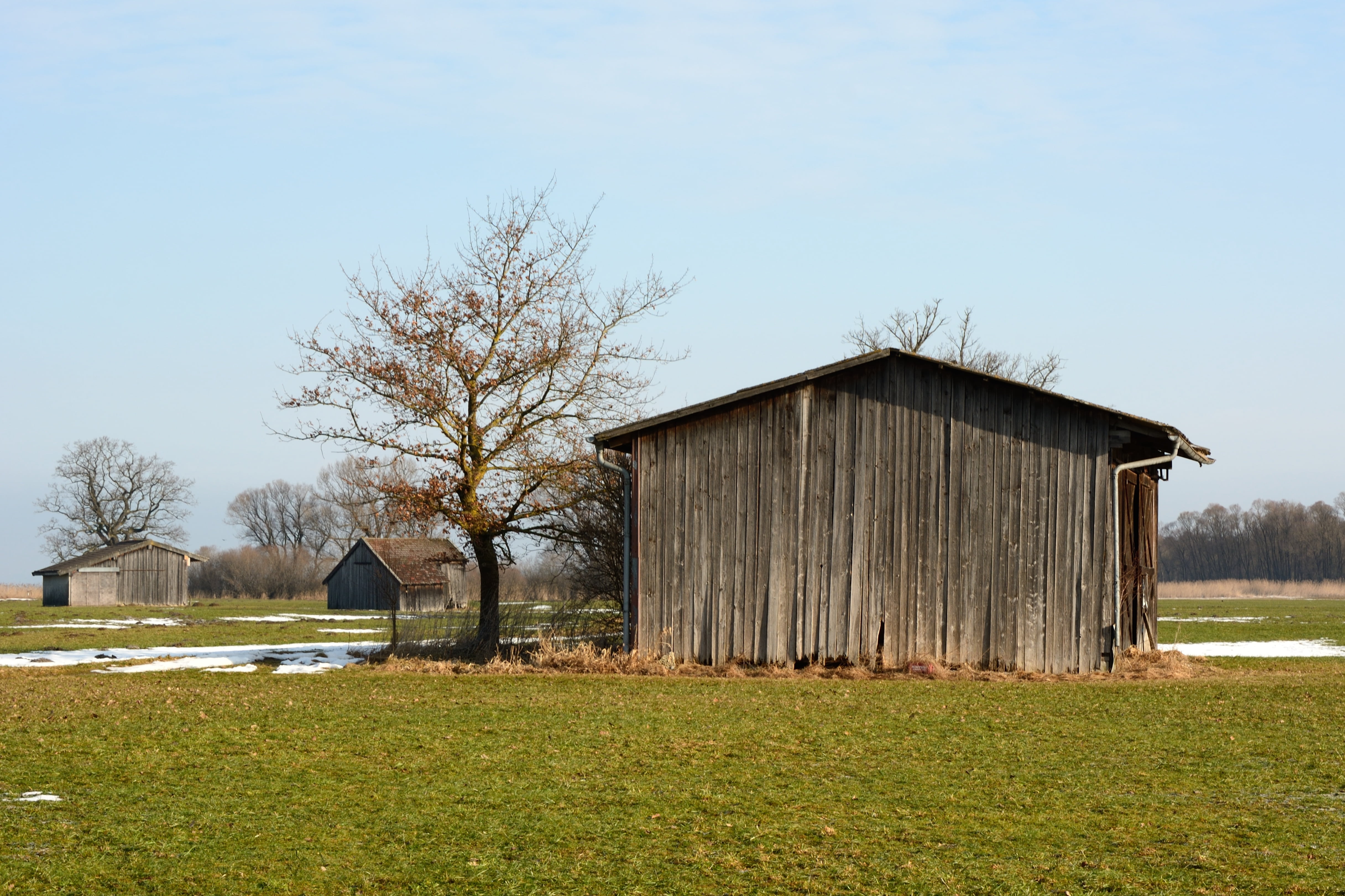 winter, barn, clear sky, 4K, rural Scene, built structure, architecture, farm, agricultural building, wintry, house, sky, outdoors, wood - material, scale, HD Wallpaper