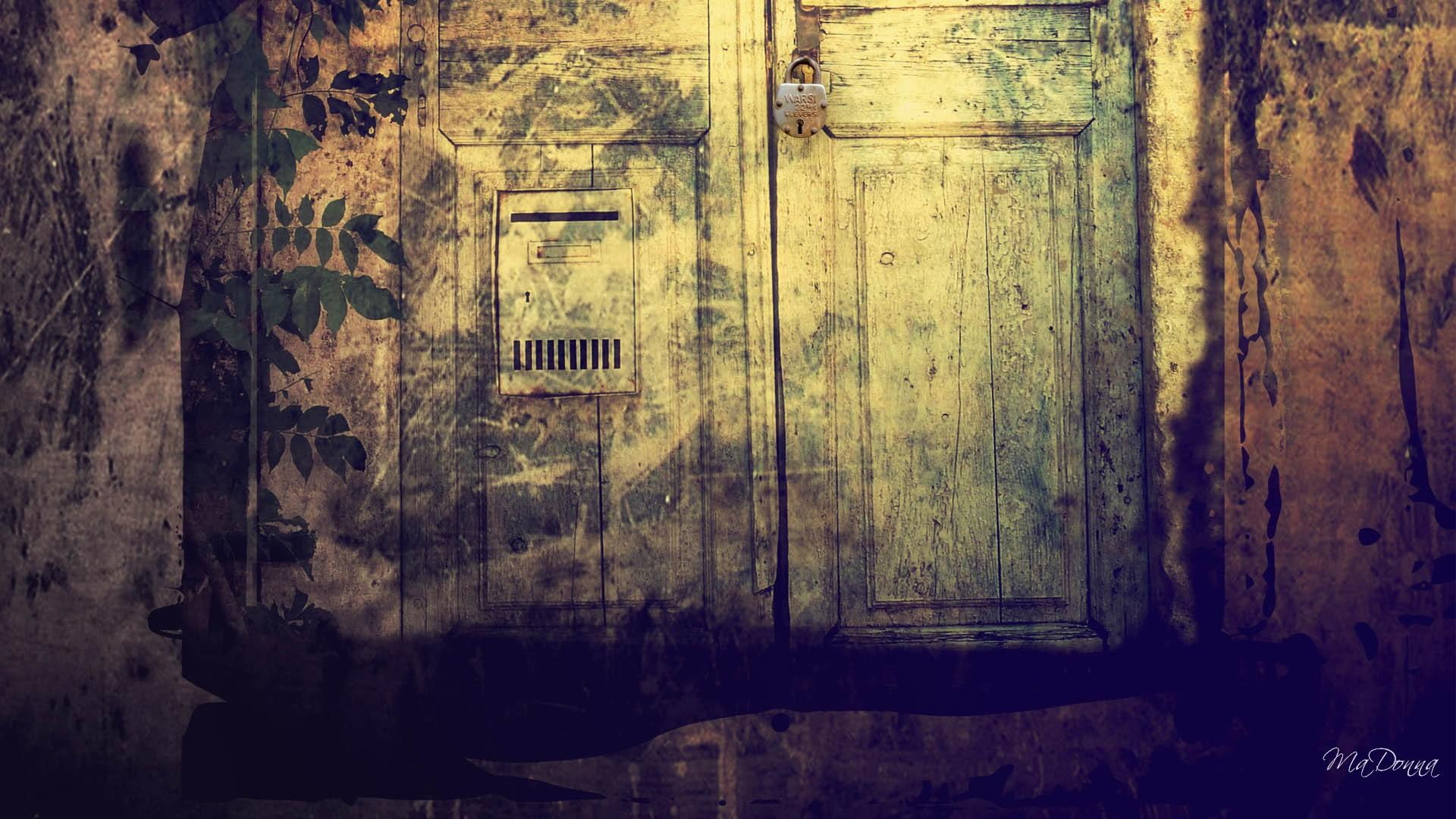 doorway, door, lock, wall, animals, antique, vintage, locked, 1080P, old, HD Wallpaper