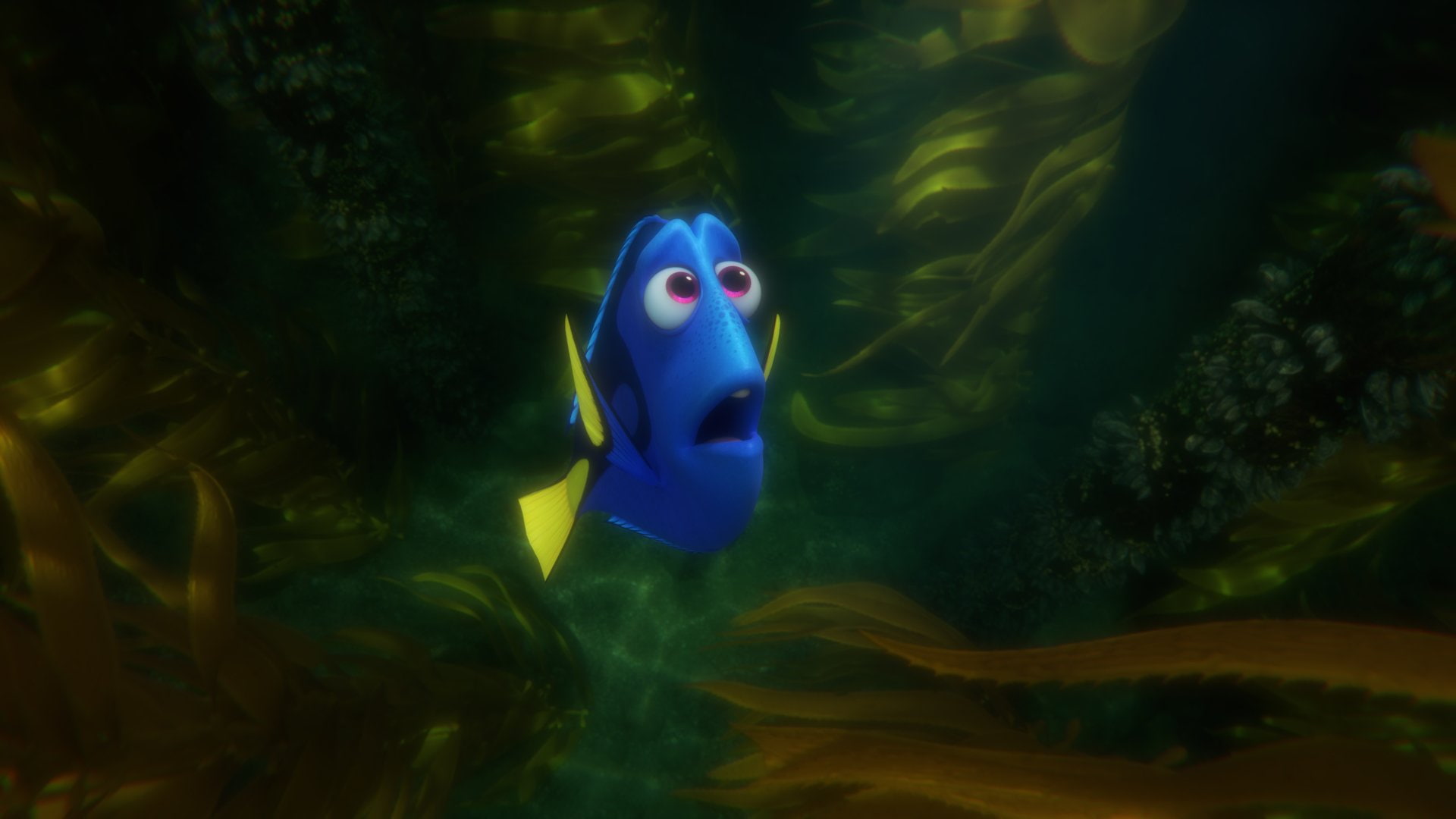Dory (Finding Nemo), Finding Dory, Movie, 1080P, HD Wallpaper