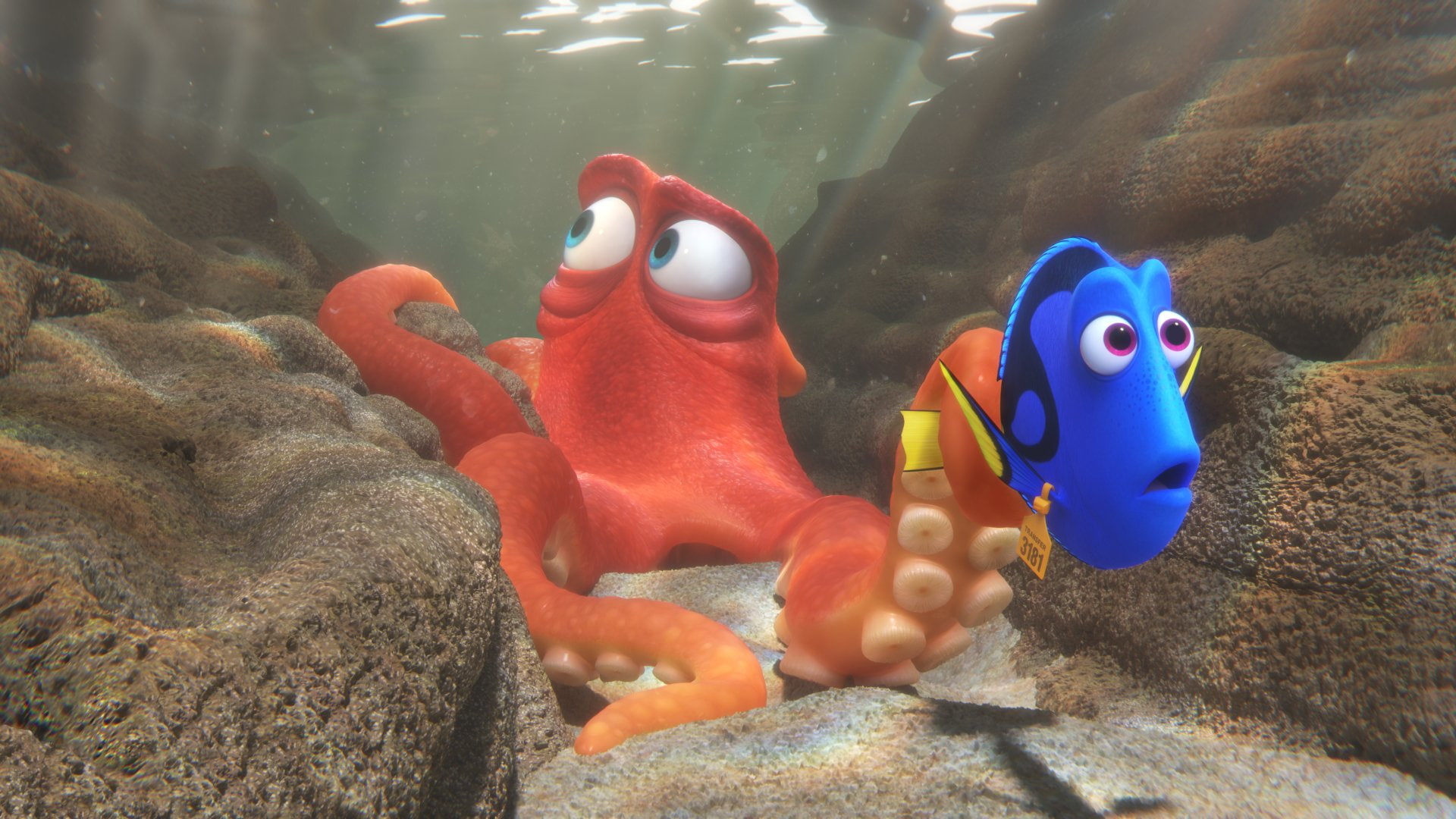 Hank (Finding Dory), Finding Dory, 1080P, Movie, Dory (Finding Nemo), HD Wallpaper